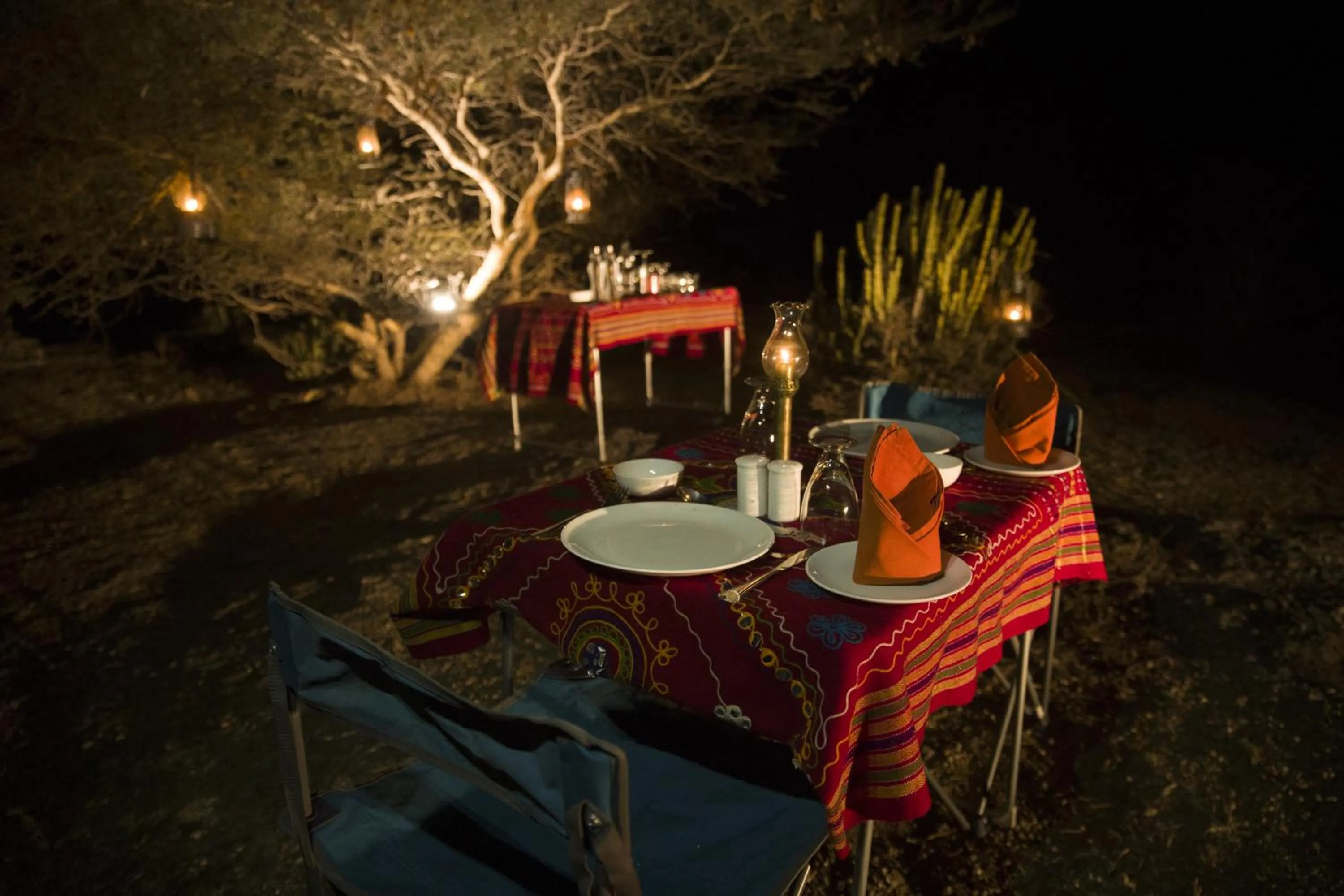 Dinner in Amritara Jawai Resort