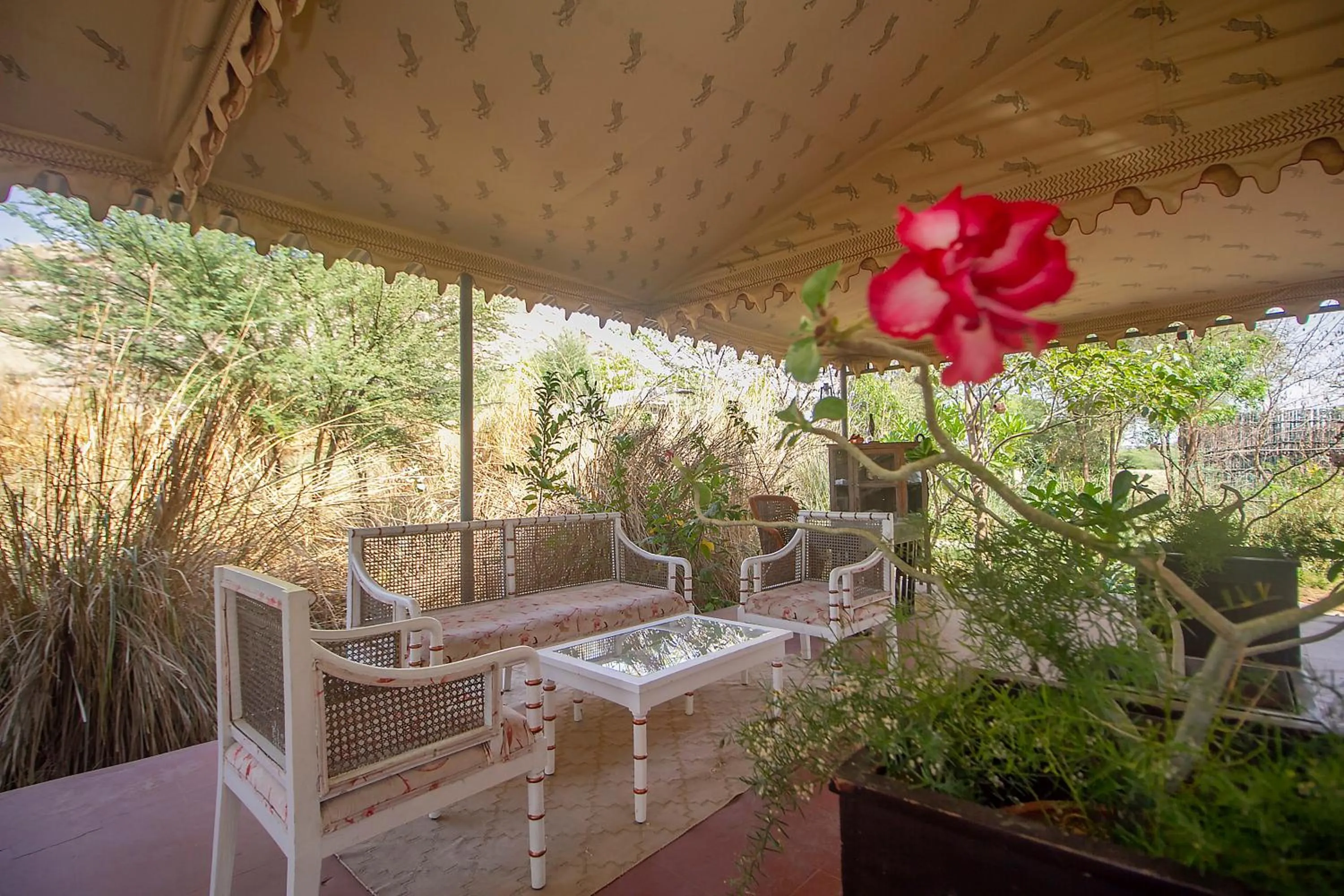 Lobby or reception in Amritara Jawai Resort