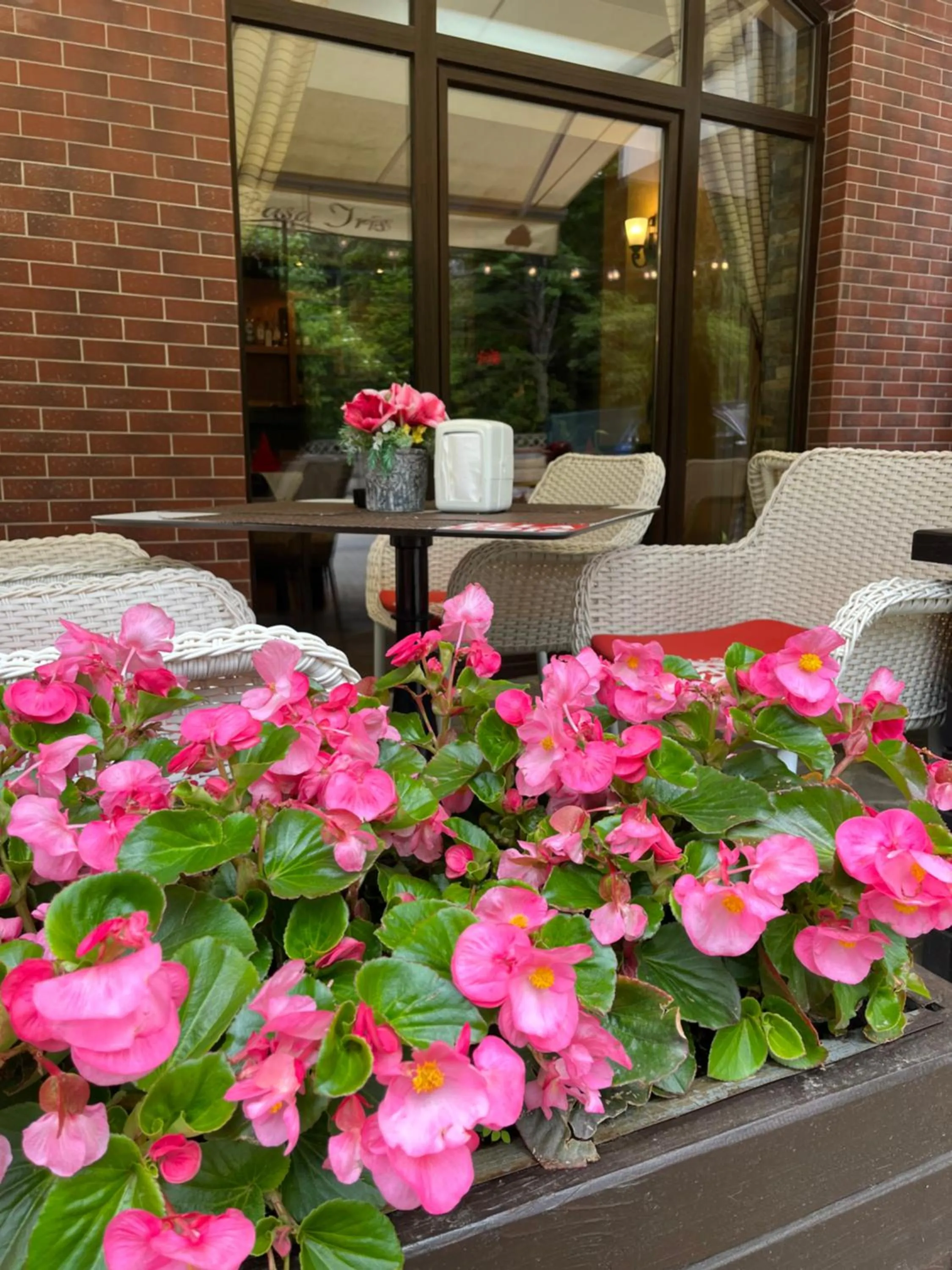 Balcony/Terrace in Casa Iris-Hotel & Restaurant