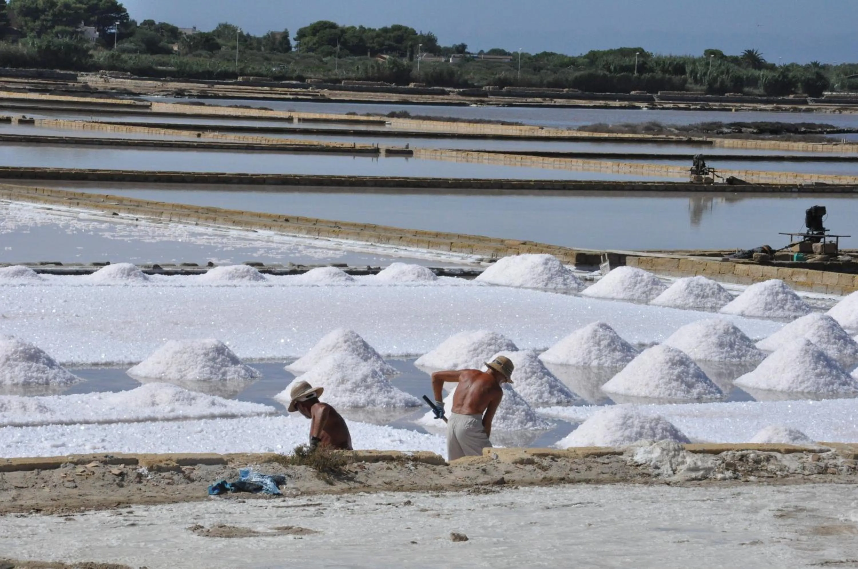 Area and facilities in B&B Sbarco dei 1000