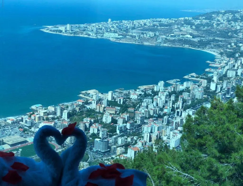 View (from property/room) in Bay Lodge Boutique Hotel