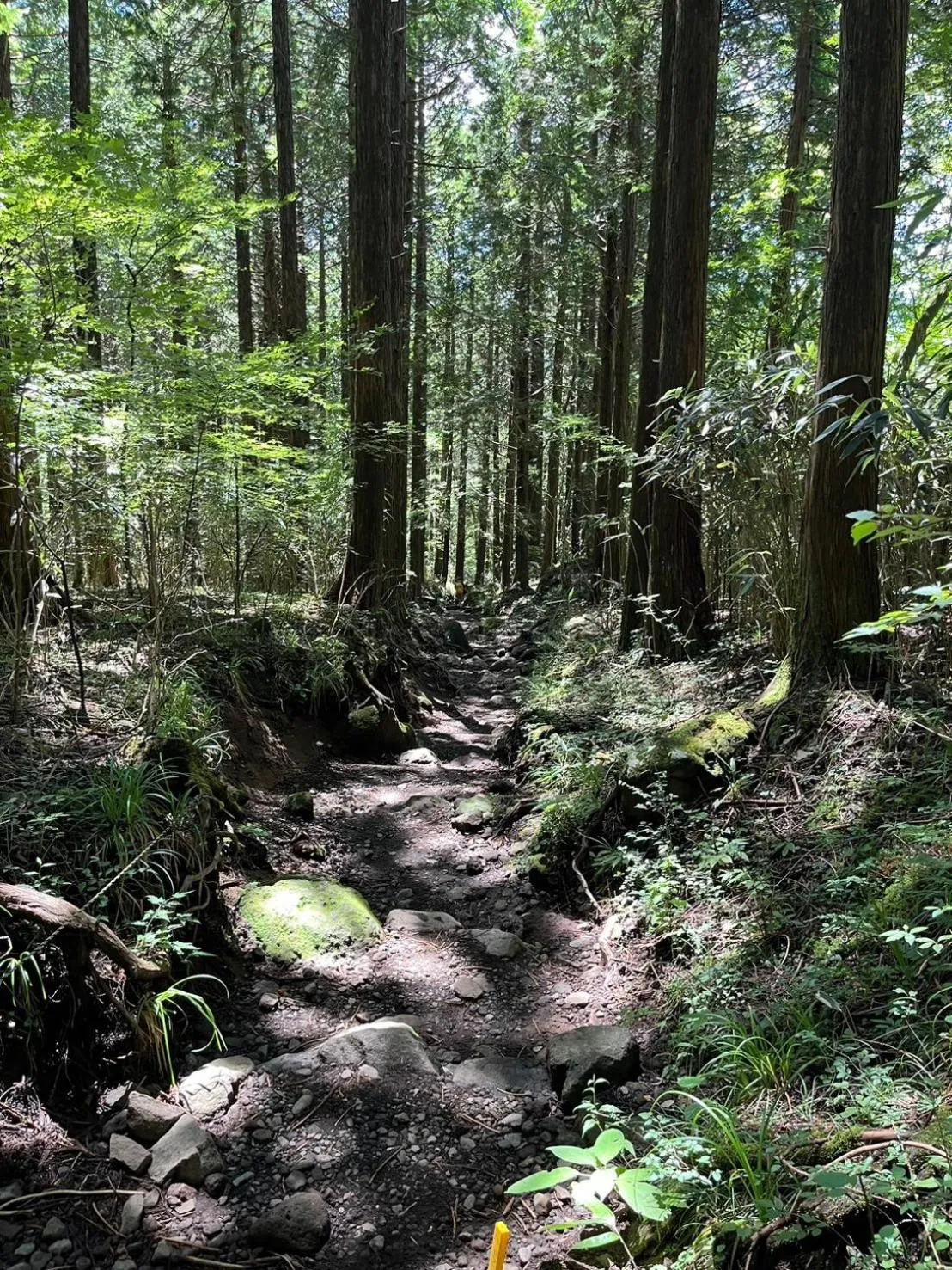 Nearby landmark in Fuji-Hakone Guest House