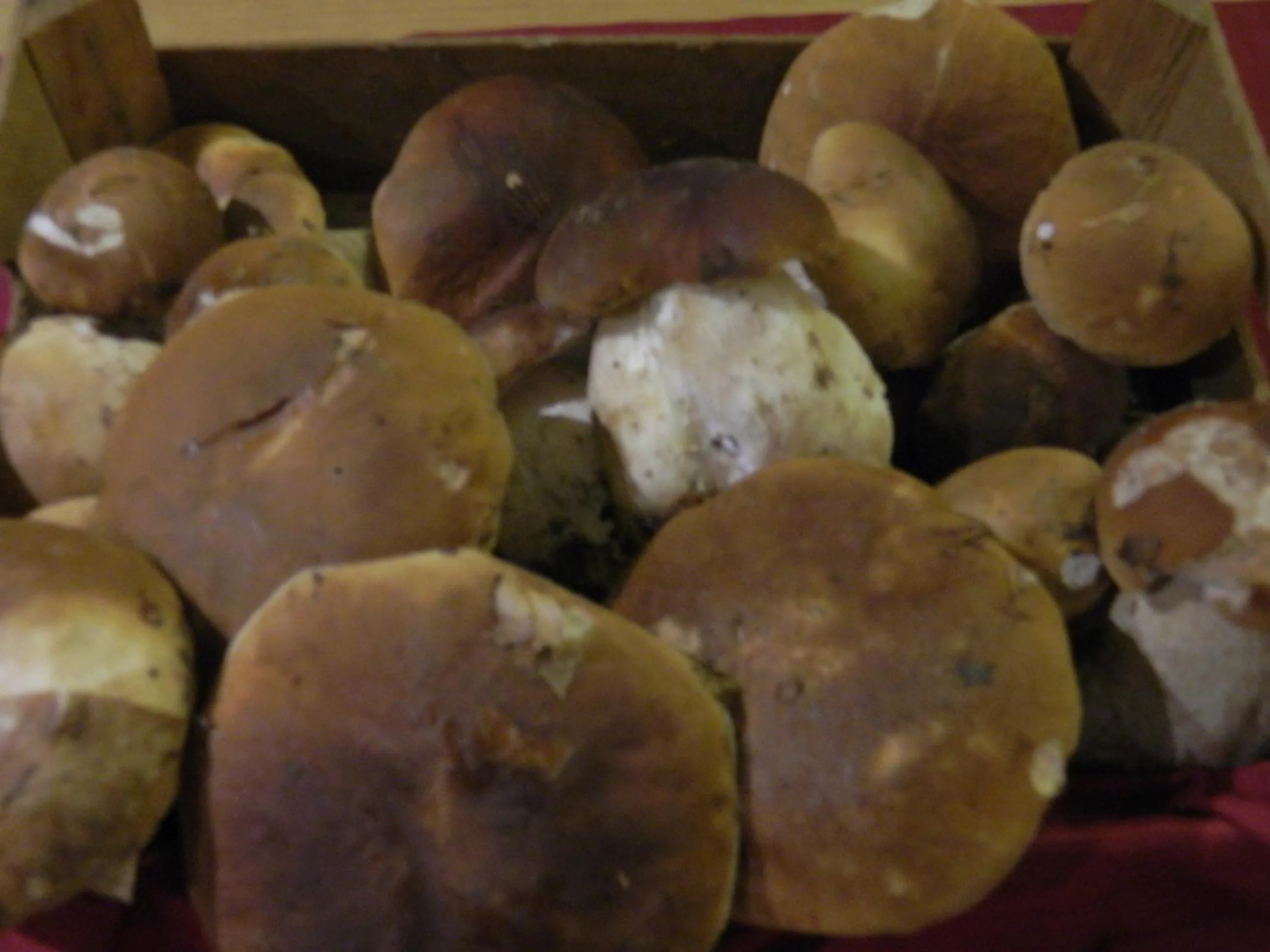 Food and drinks in Osteria San Giuseppe