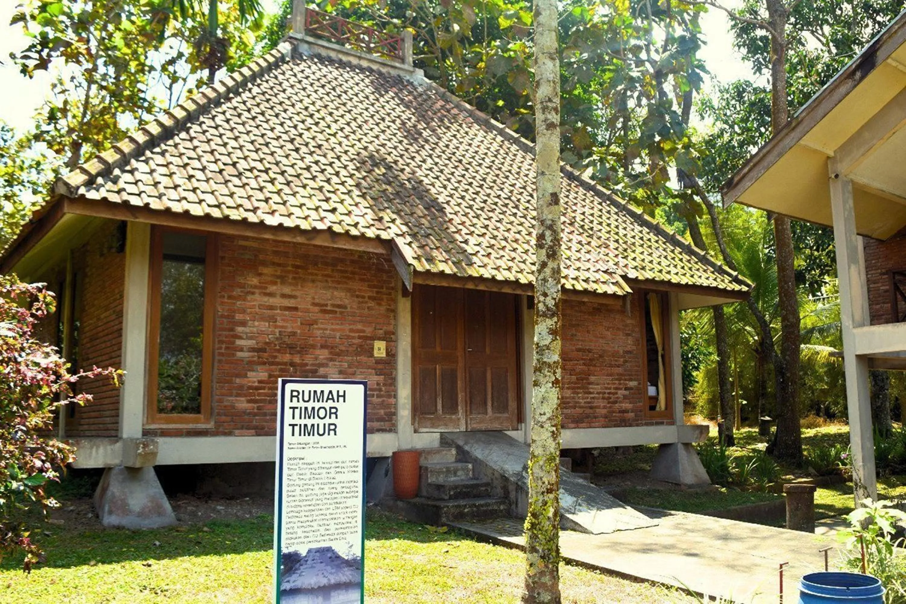 View (from property/room) in Disaster Oasis