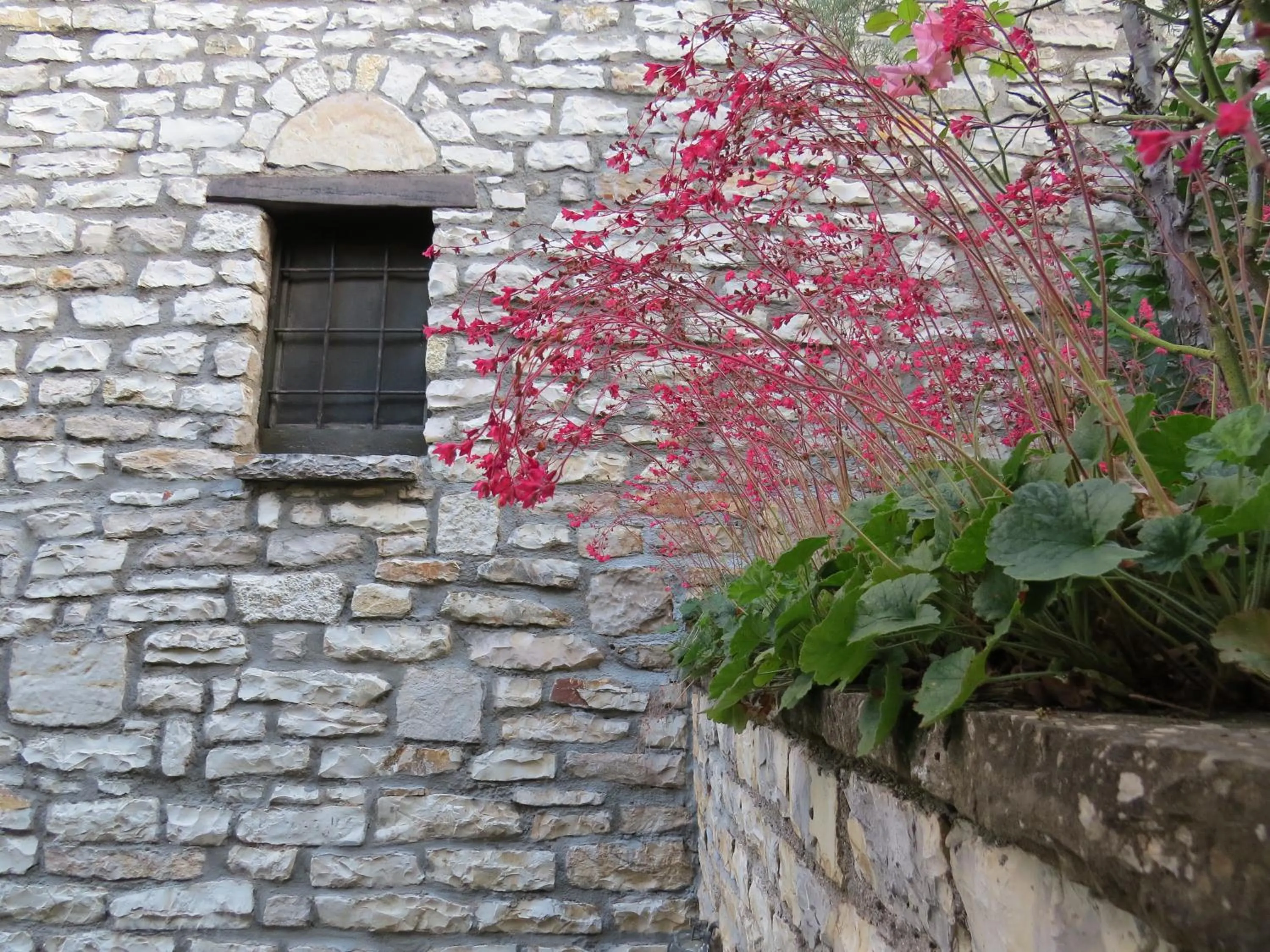 Spring in Arhontiko Aristis