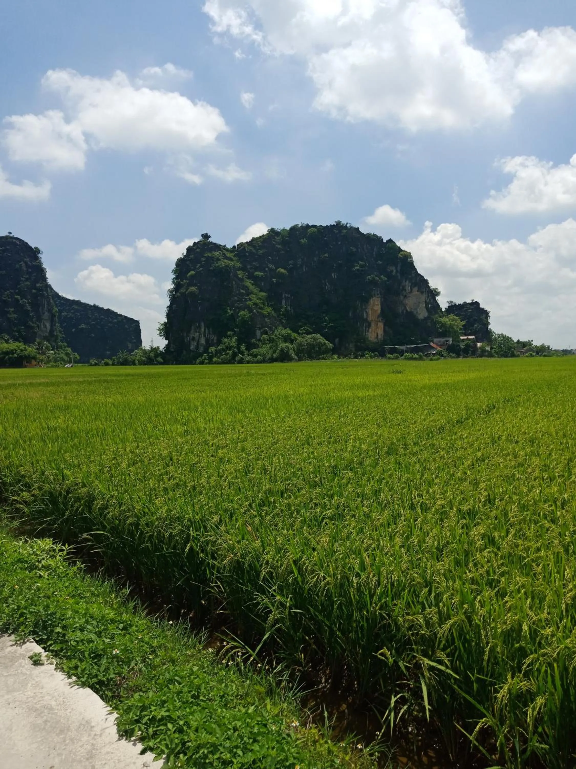 Natural landscape in Tam Coc Valley Bung
