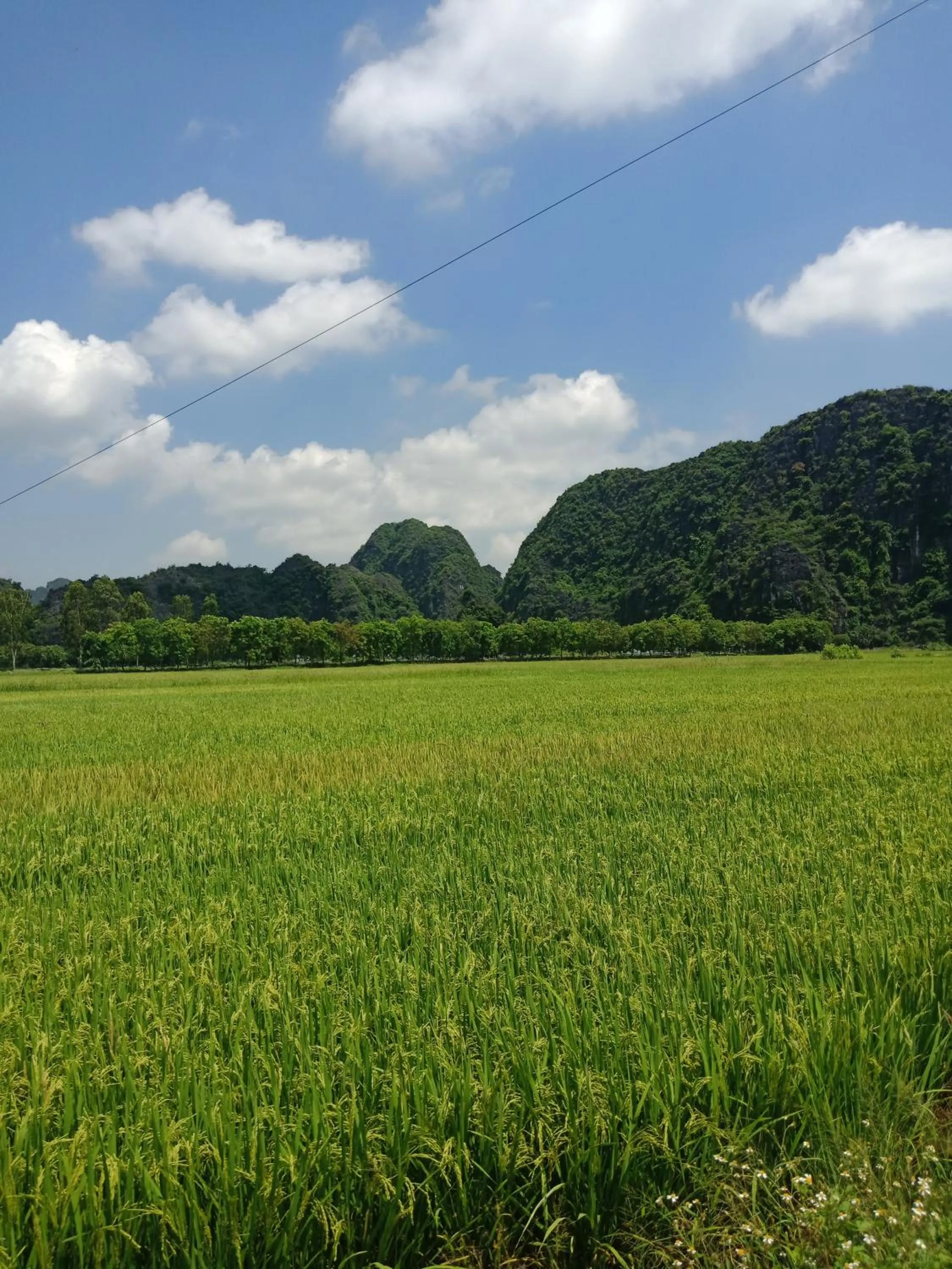 Neighbourhood in Tam Coc Valley Bung