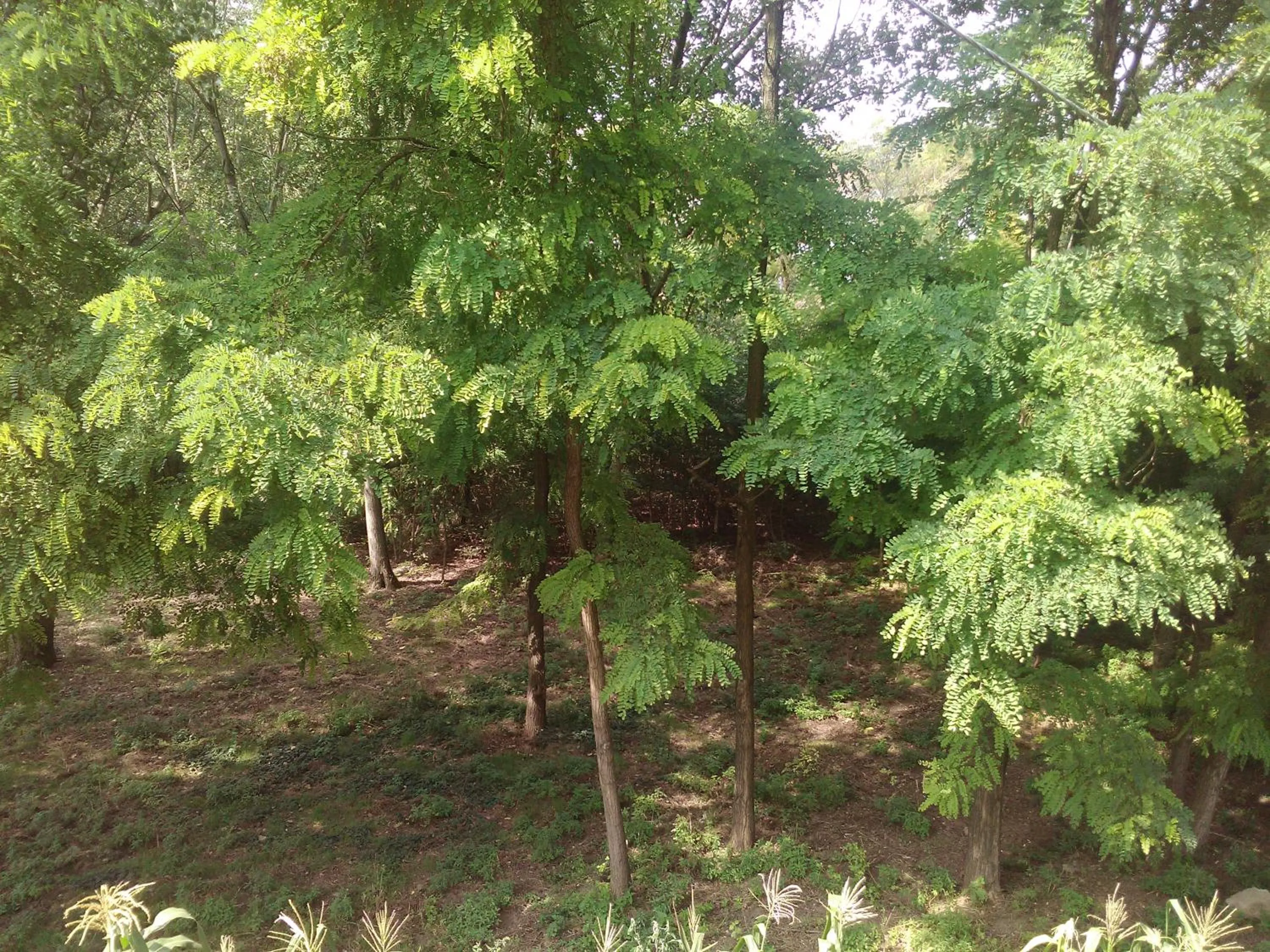 Property building in NOEMI & JULIENNE