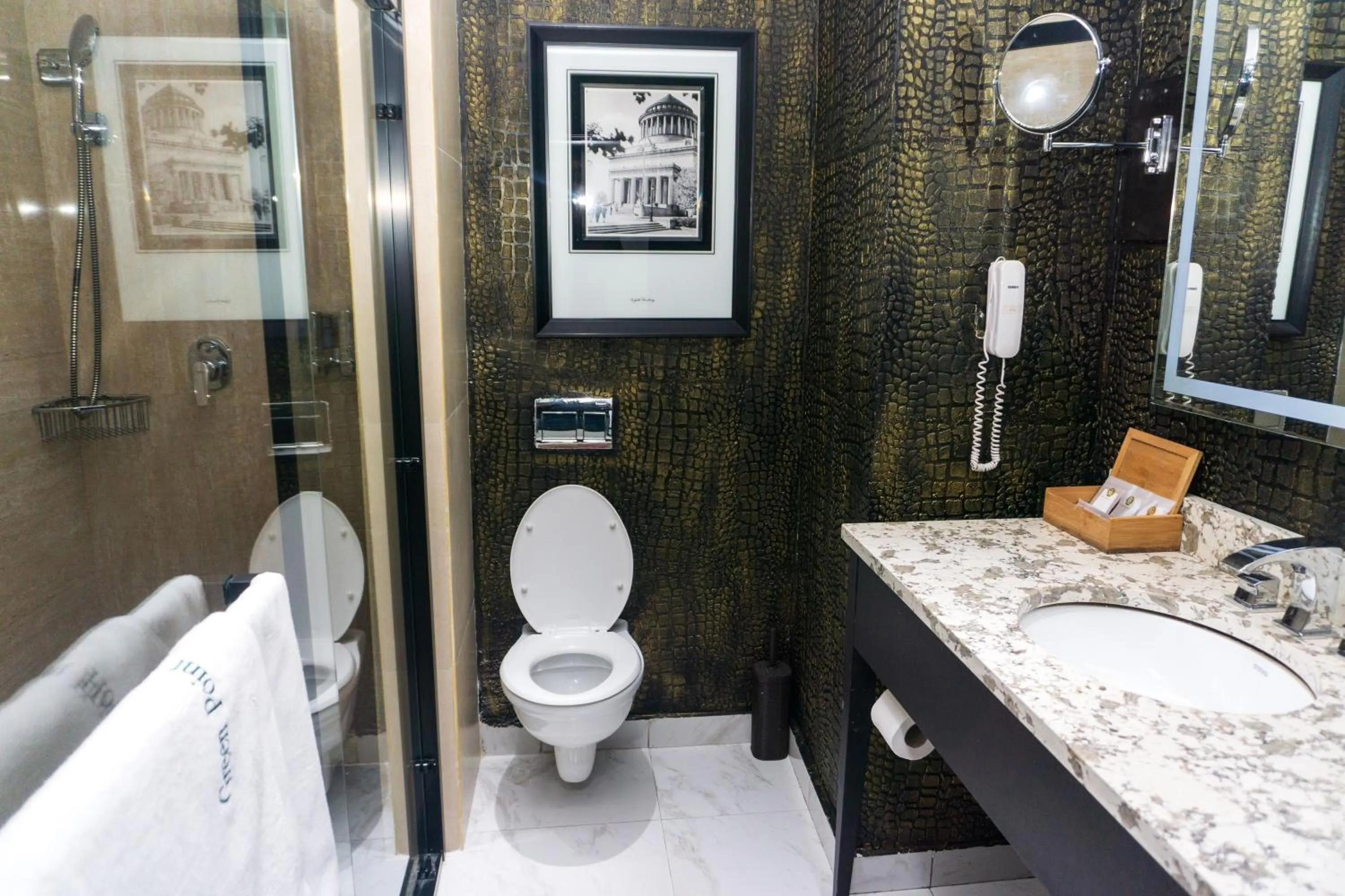 Toilet in GreenPoint Hotel