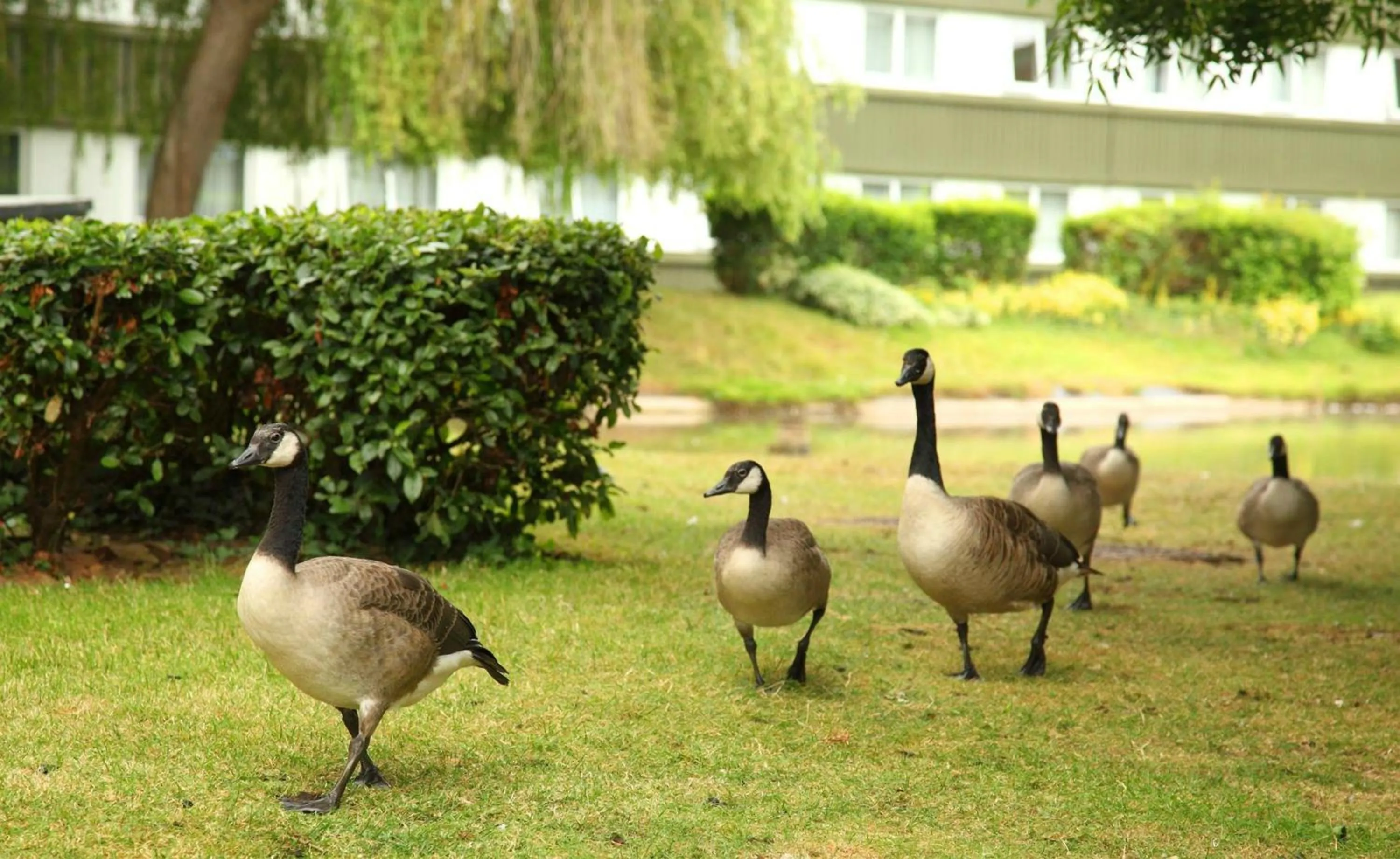 Other in Holiday Inn Bristol Filton by IHG