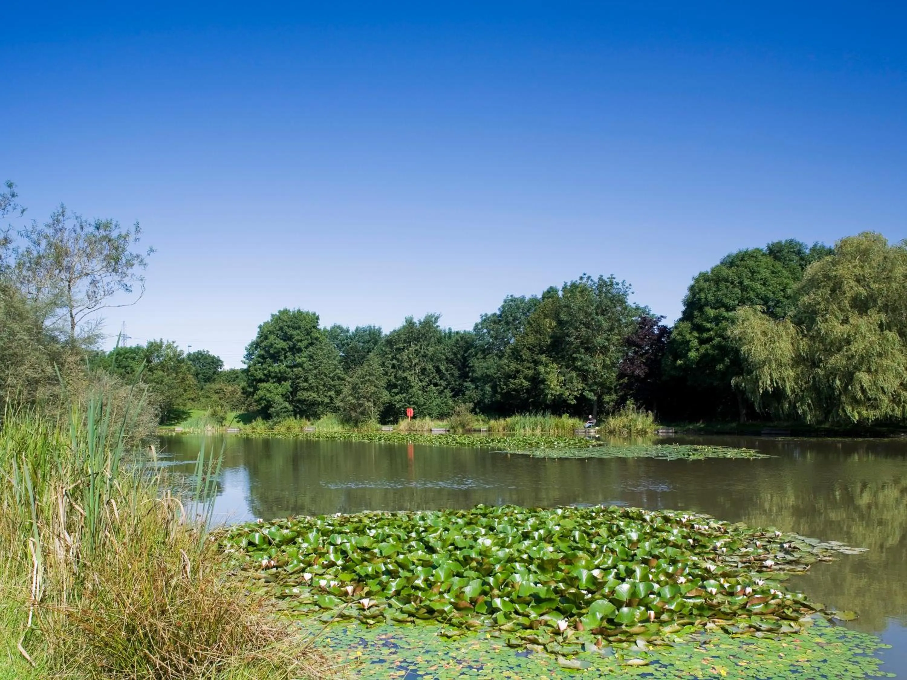 Property building in Holiday Inn Bristol Filton by IHG