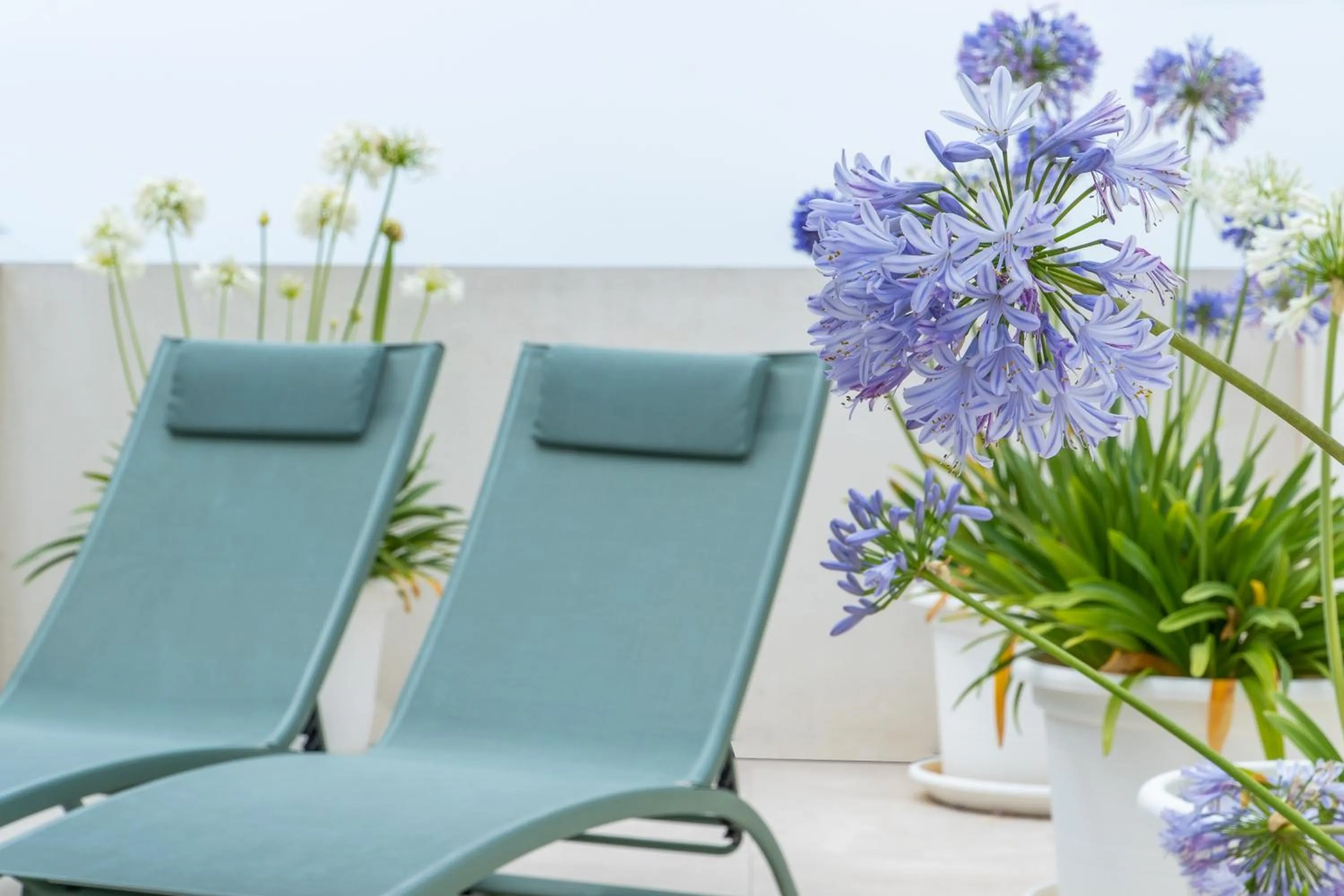 Balcony/Terrace in Teide Rooms