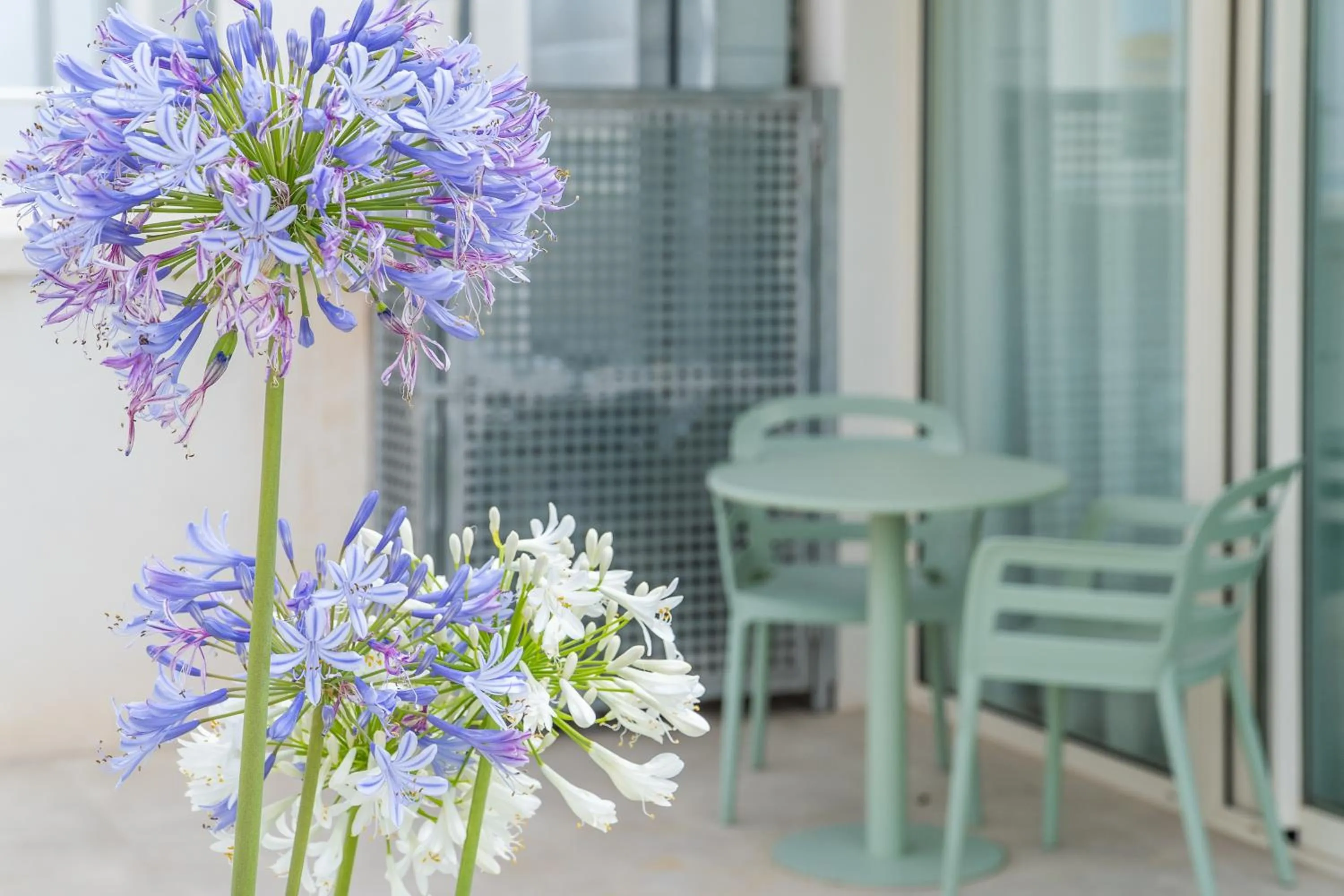 Balcony/Terrace in Teide Rooms