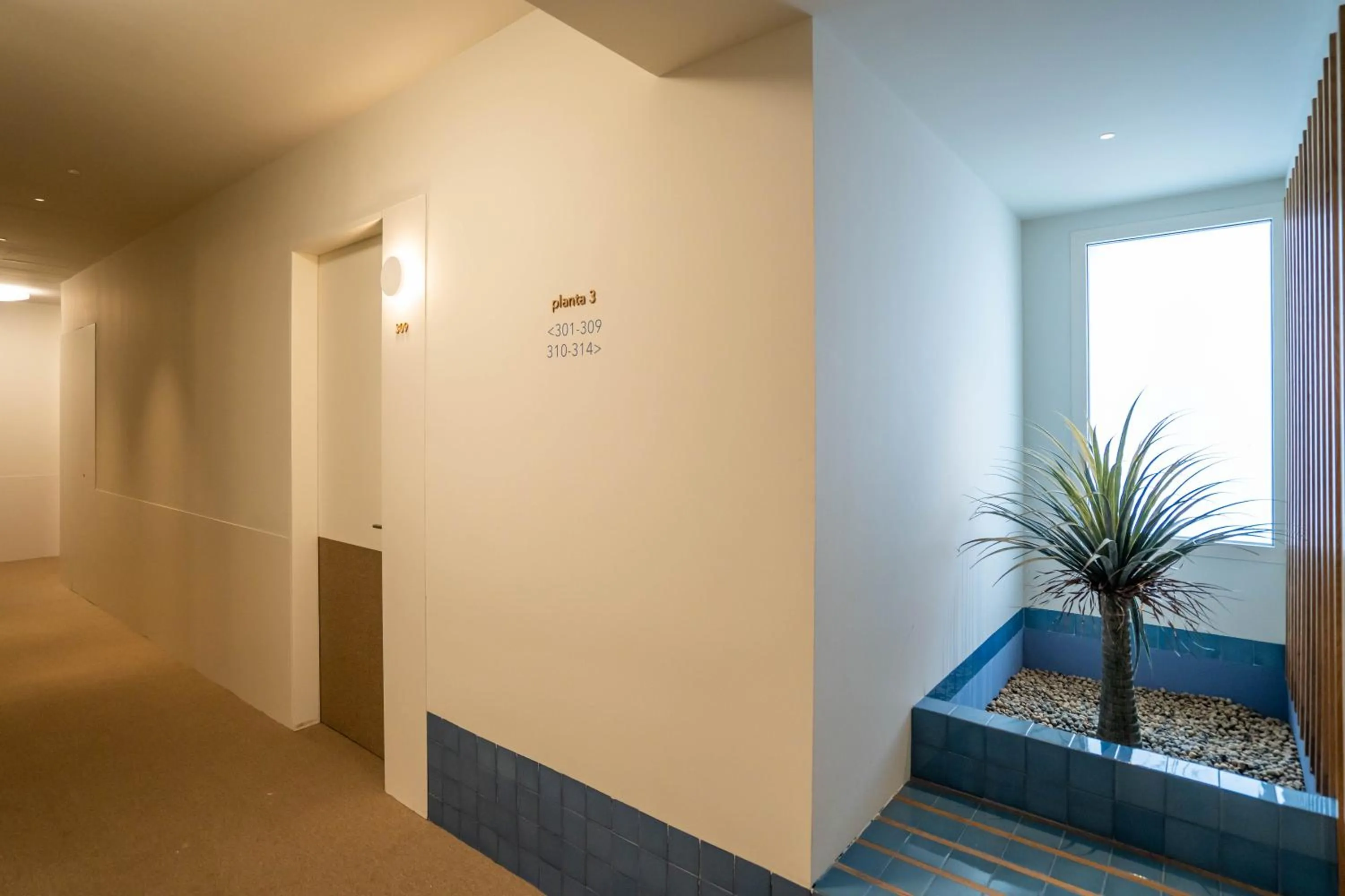 Area and facilities in Teide Rooms