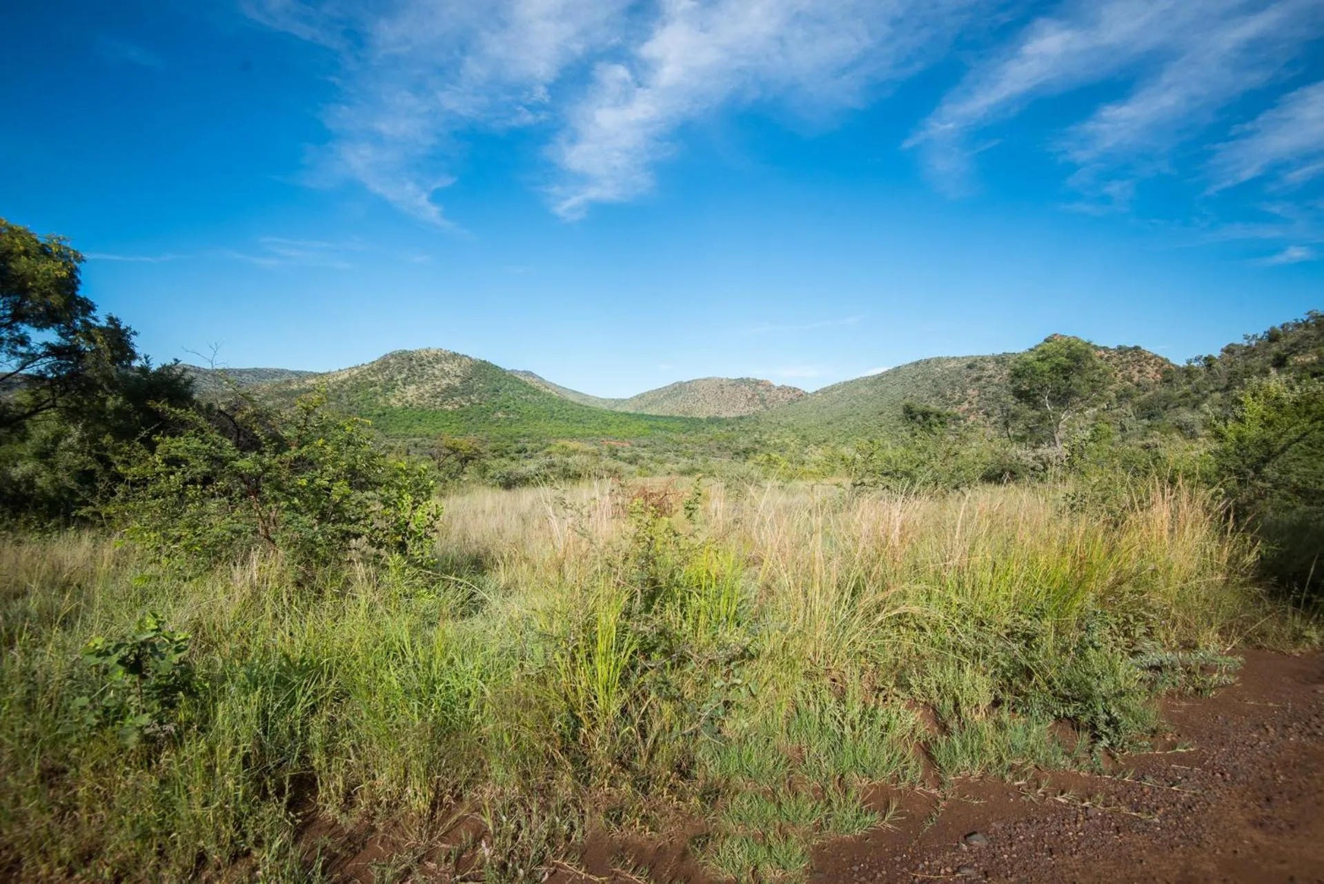 Natural landscape in Lush Private Game Lodge