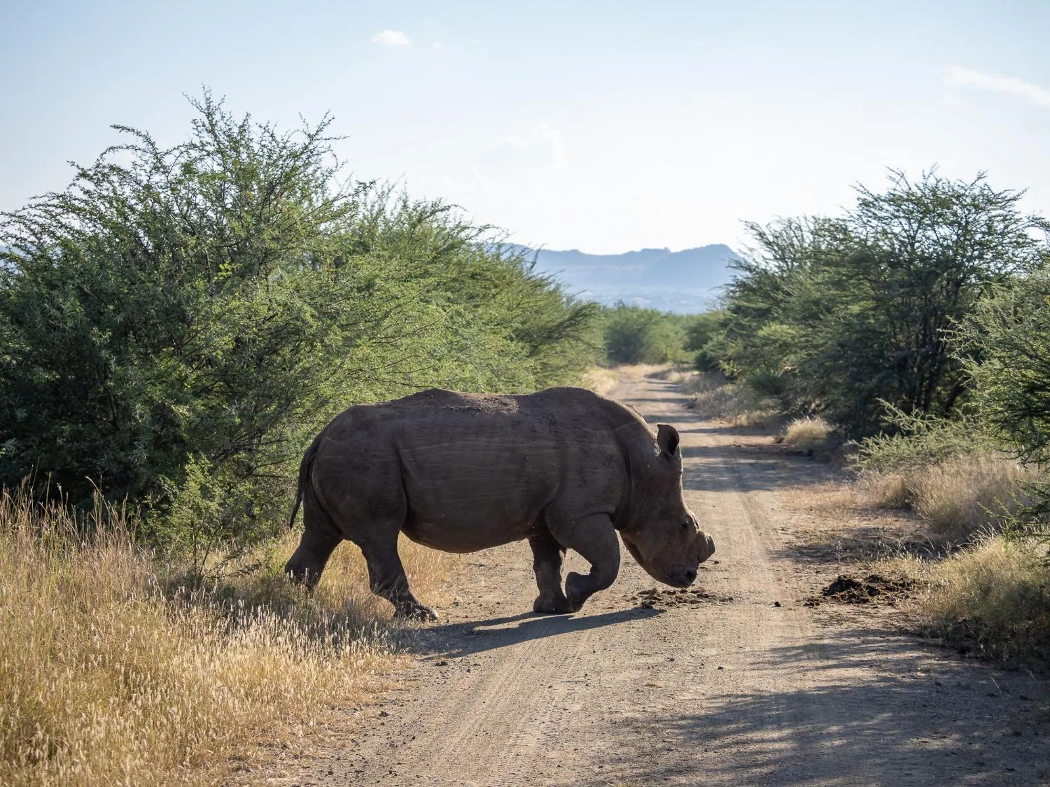 Natural landscape in Lush Private Game Lodge
