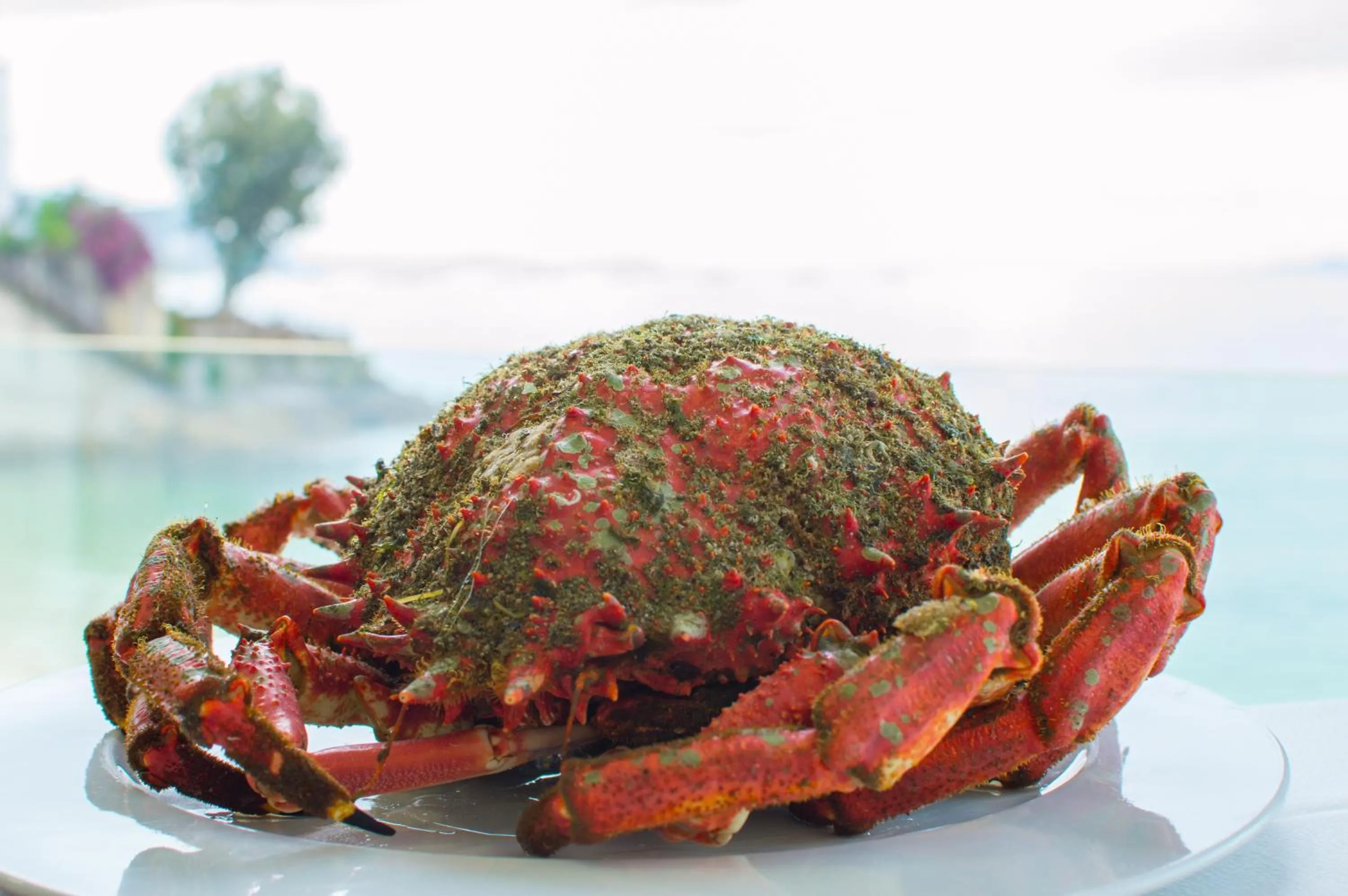 Food in Hotel Restaurante Loureiro