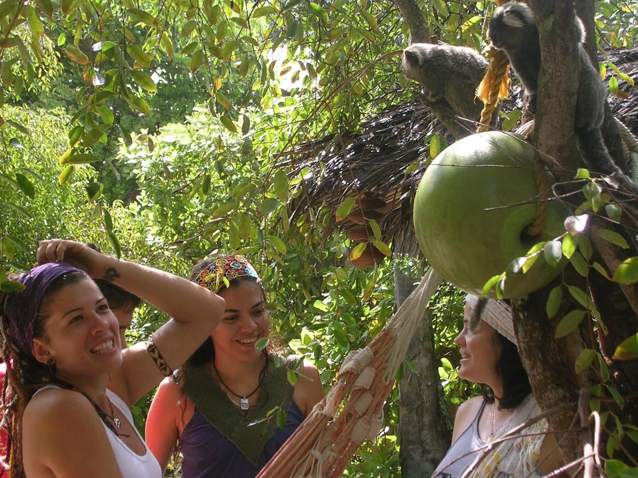 Day in Imbassaí Pousada Hostel Lujimba