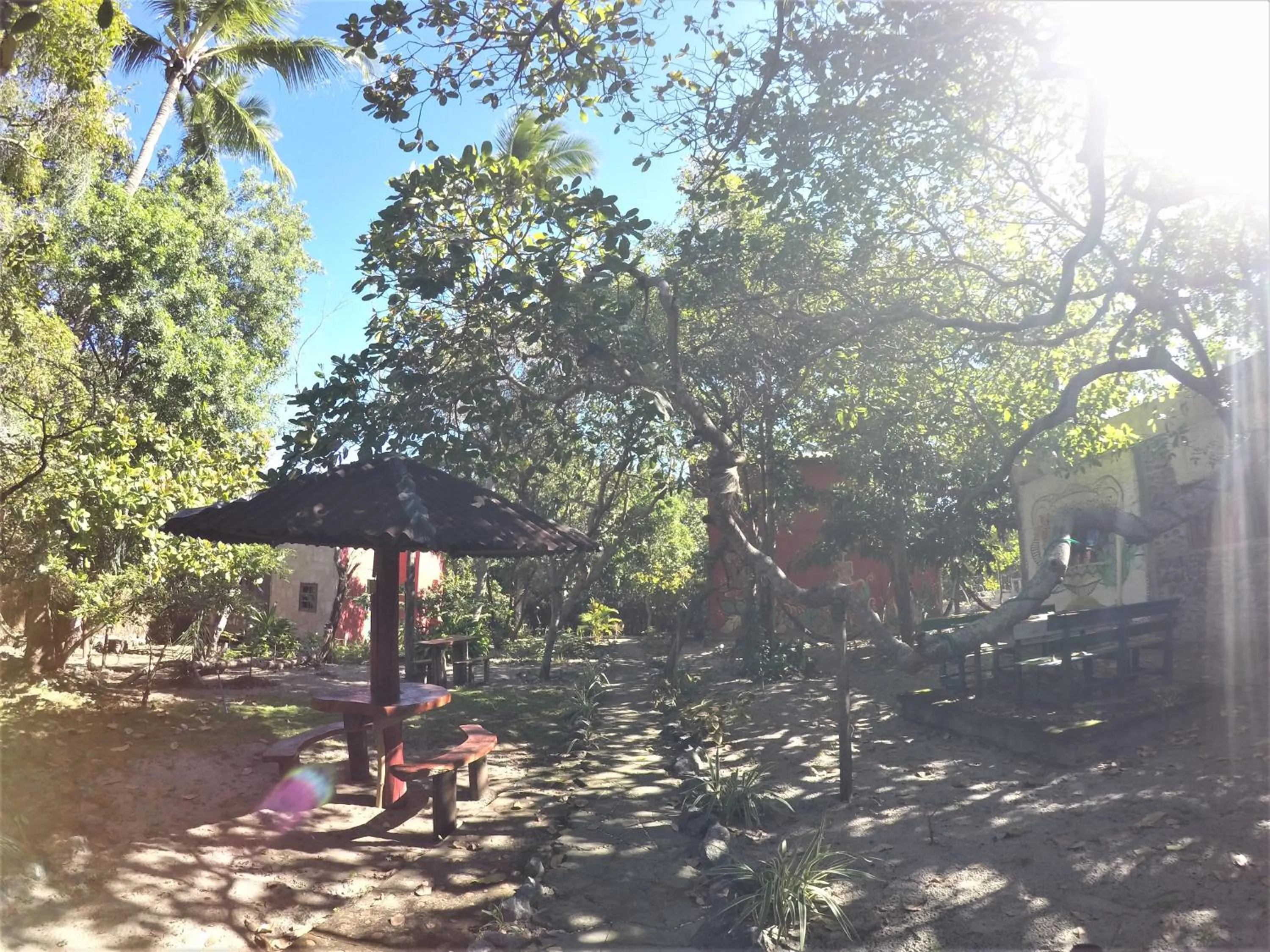 Garden in Imbassaí Pousada Hostel Lujimba