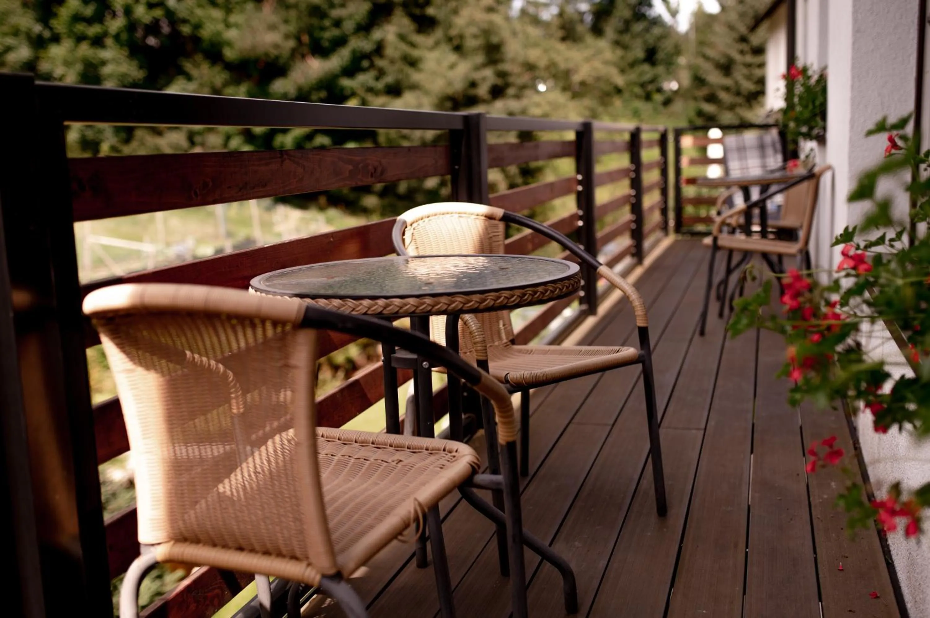 Balcony/Terrace in Pension Styl