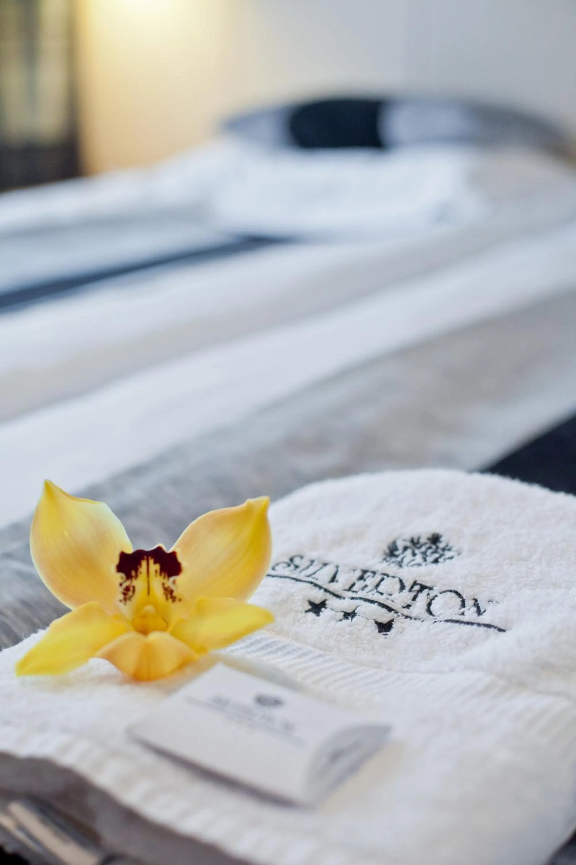 Decorative detail, Bed in Silverton -sauna,jacuzzi,mini siłownia,bar sezonowy, przyjazny rodzinom