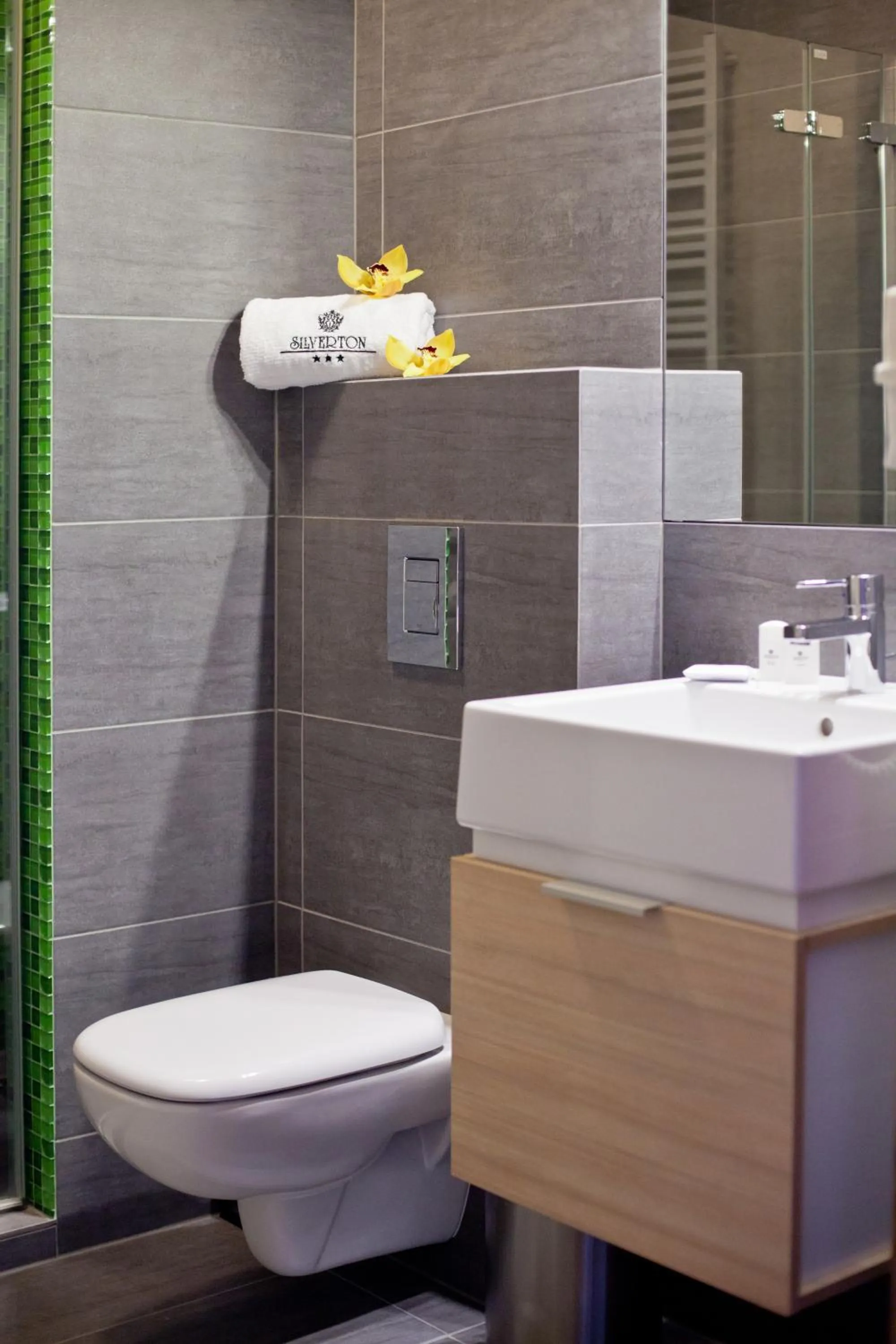 Toilet in Silverton -sauna,jacuzzi,mini siłownia,bar sezonowy, przyjazny rodzinom