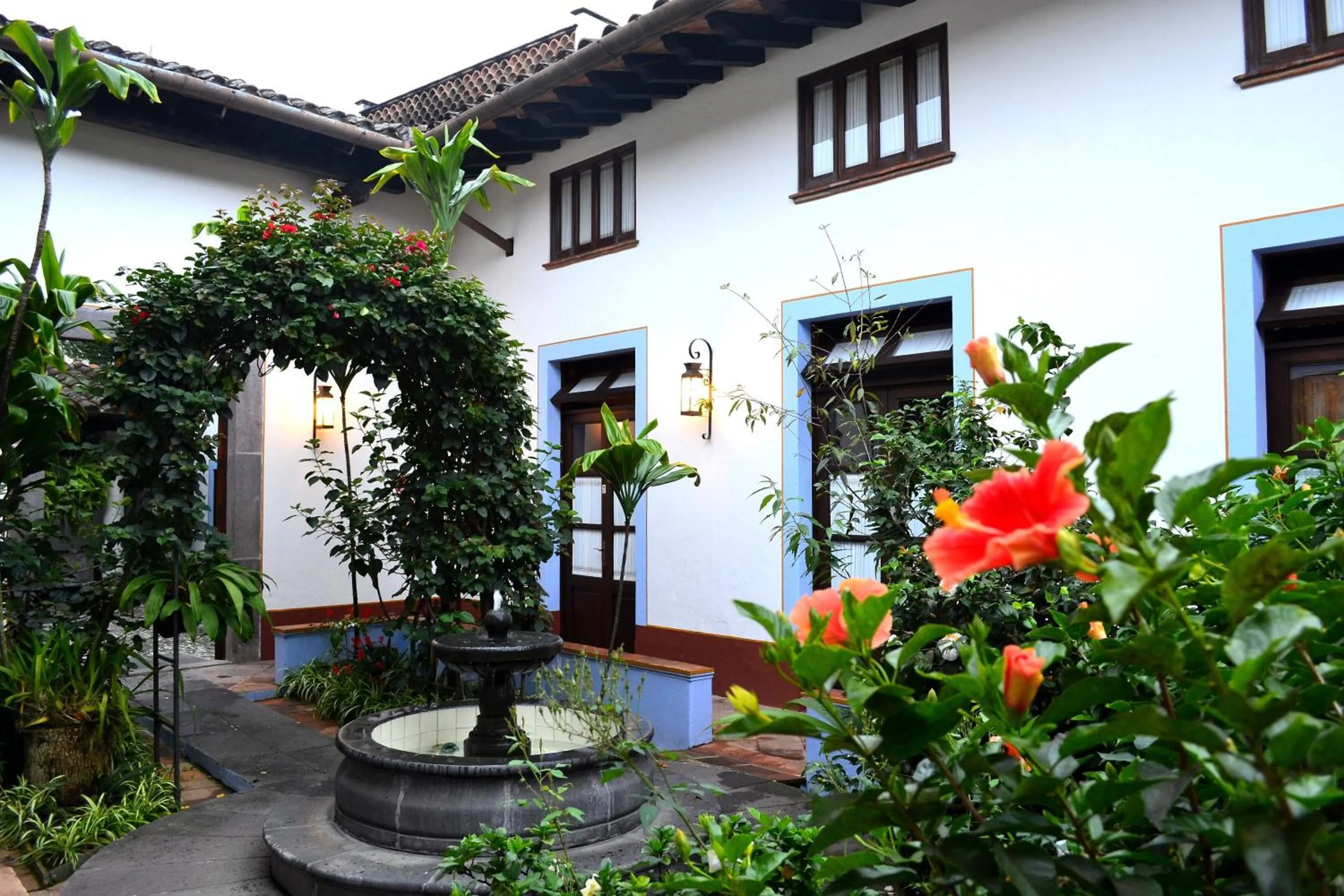 Garden in Meson del Alferez Coatepec