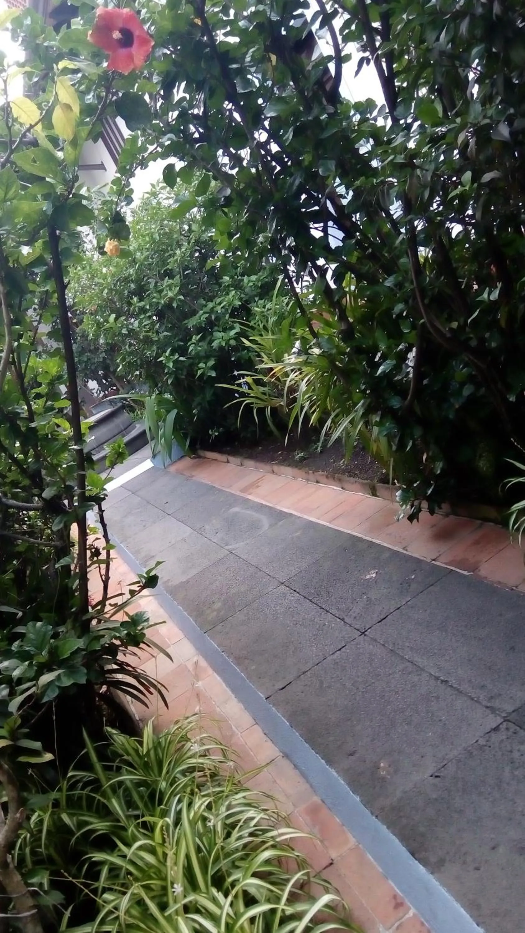 Meson del Alferez Coatepec