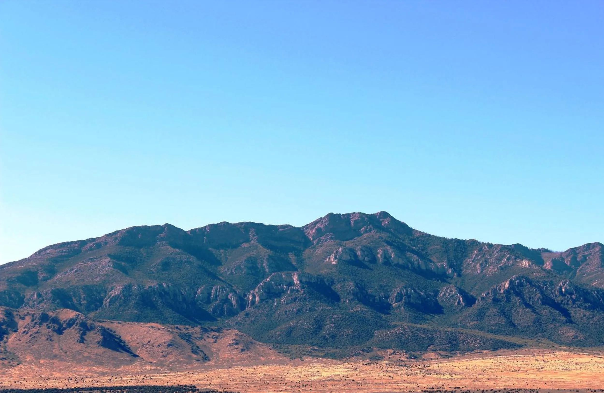 View (from property/room) in Scipio Hotel