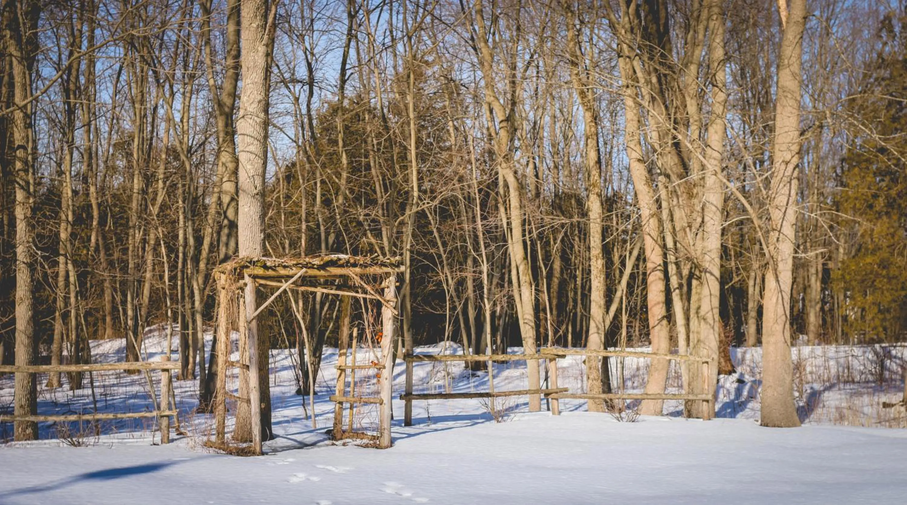 Banquet/Function facilities in Timber House Resort