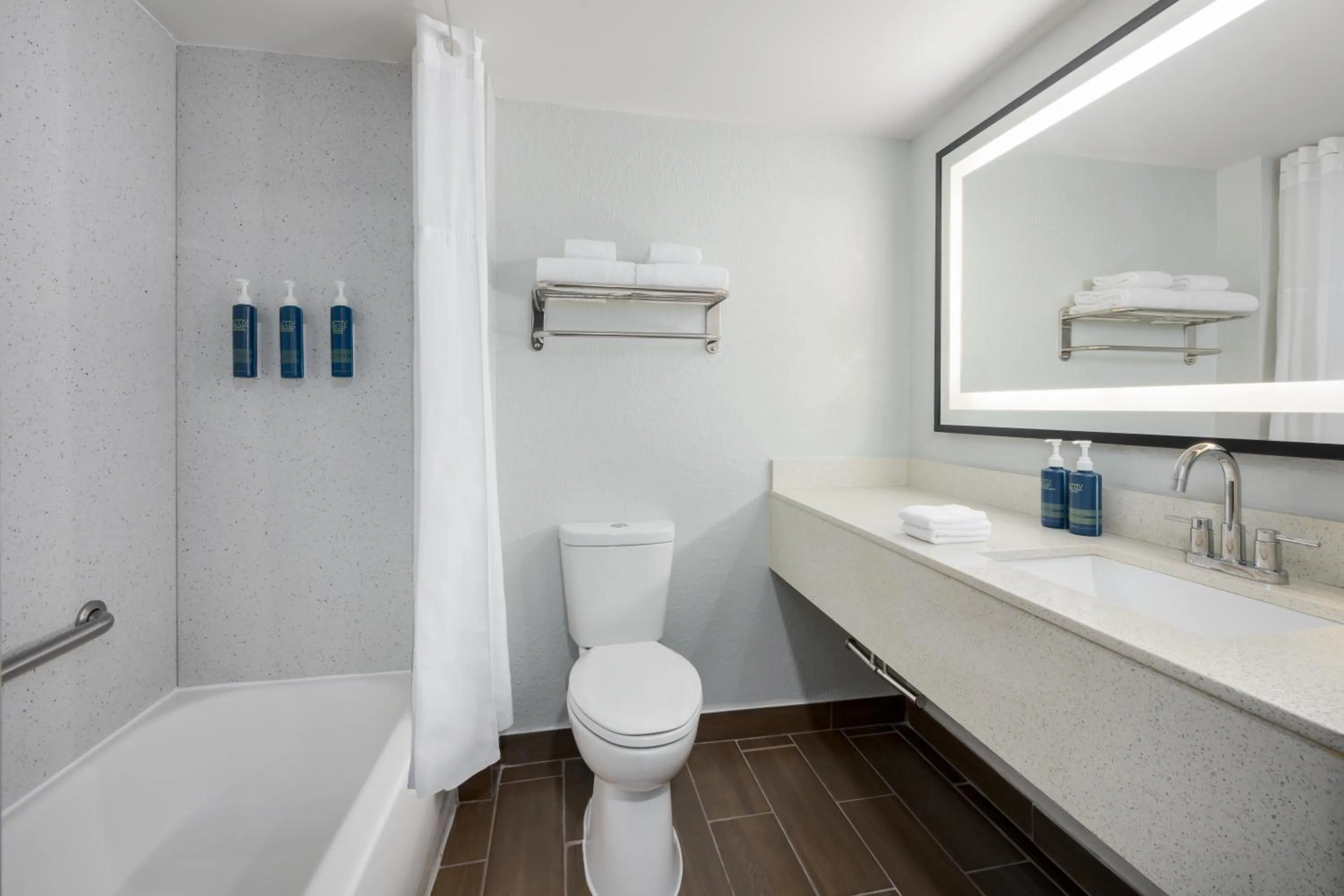 Bathroom in Four Points by Sheraton College Park Atlanta Airport