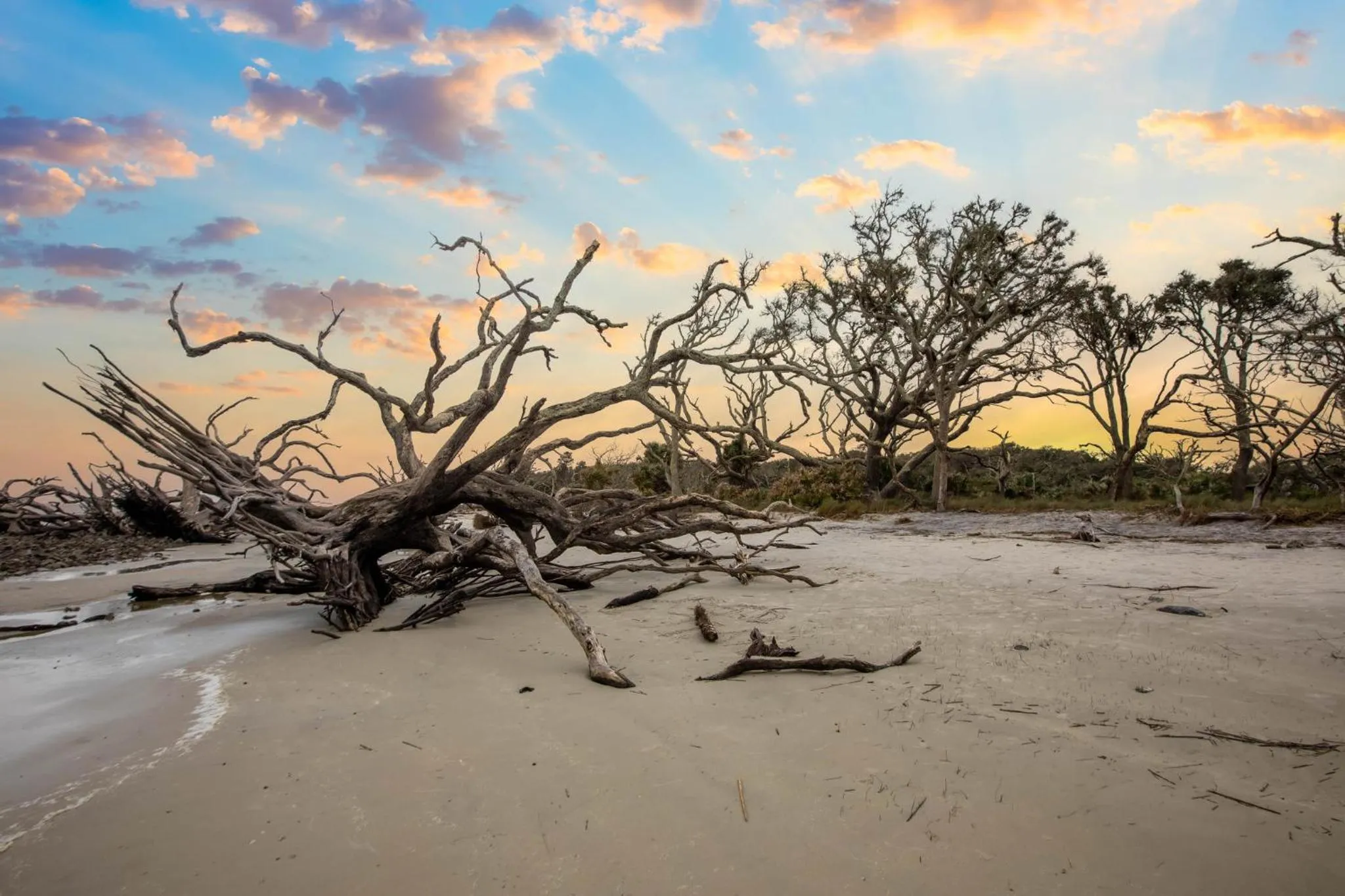 Area and facilities in Holiday Inn Resort Jekyll Island by IHG