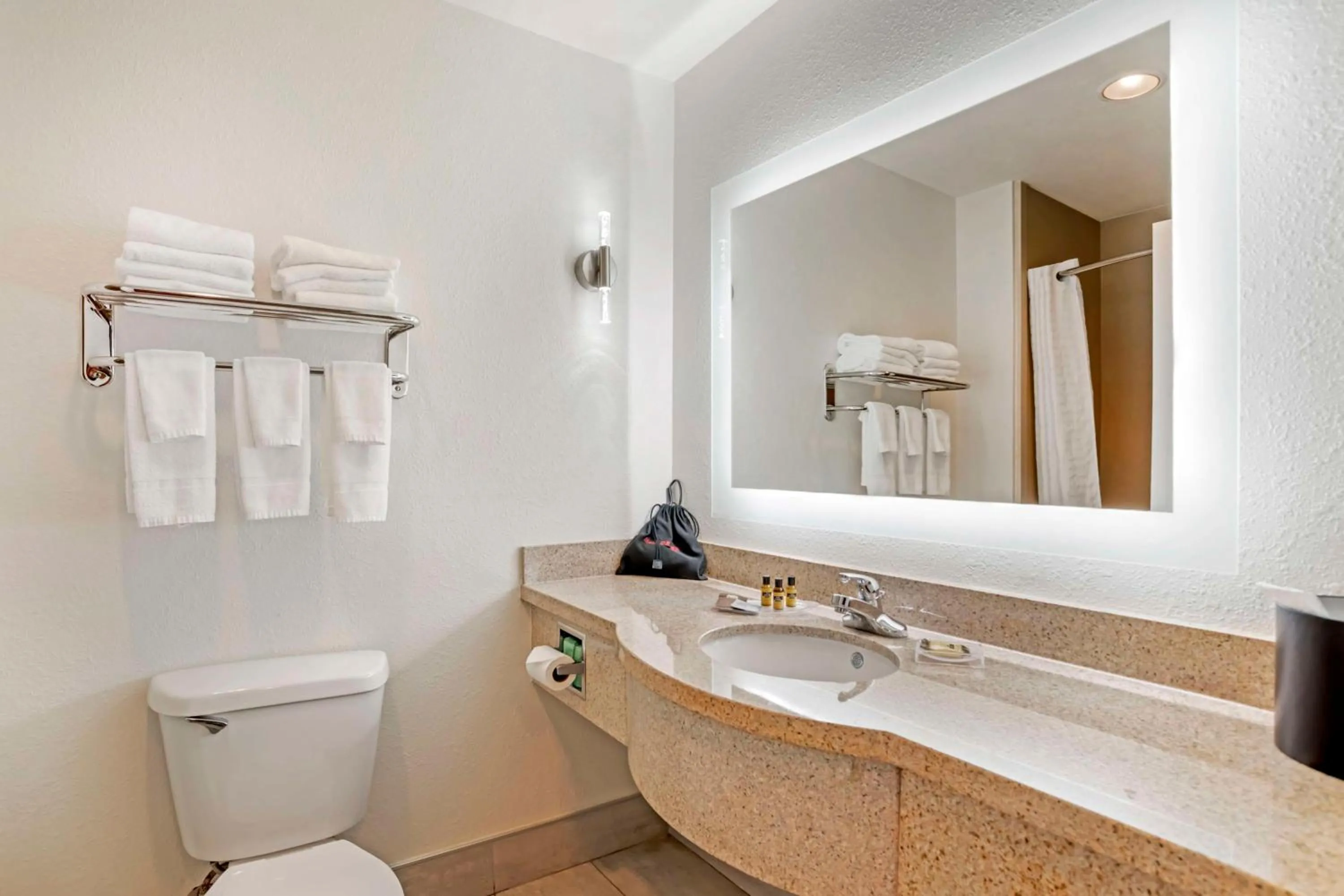 Bathroom in Best Western Plus Daphne