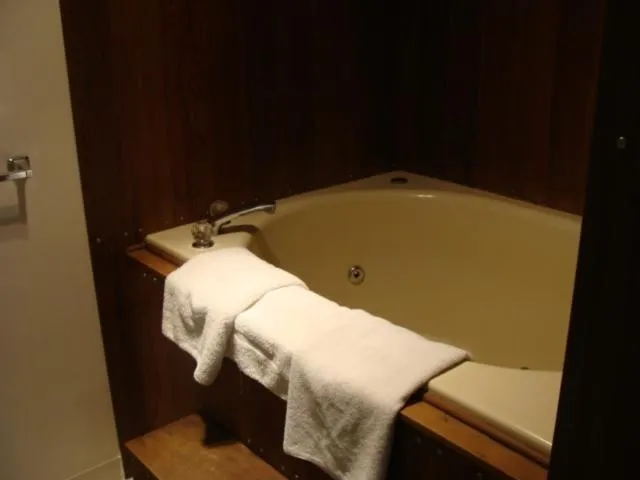 Bathroom in USA Inns of America