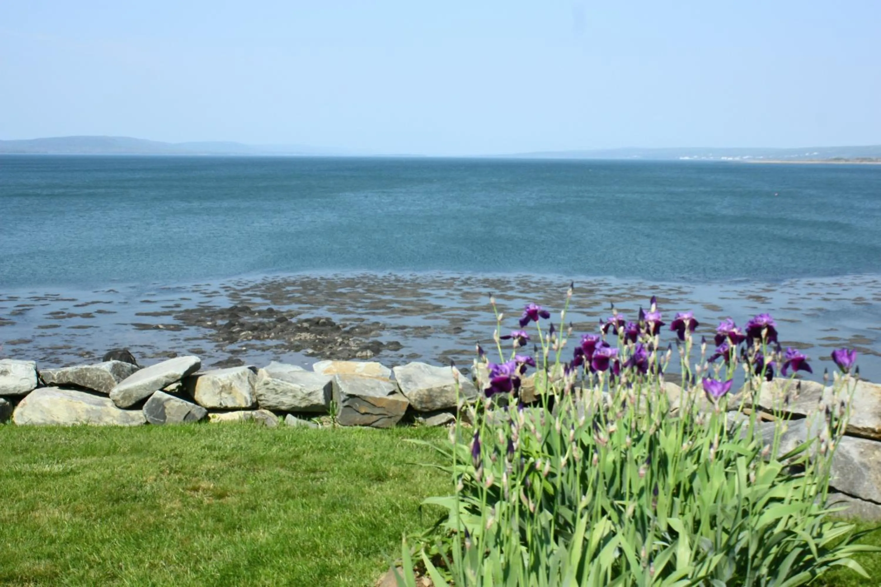 Garden in Come from Away B&B