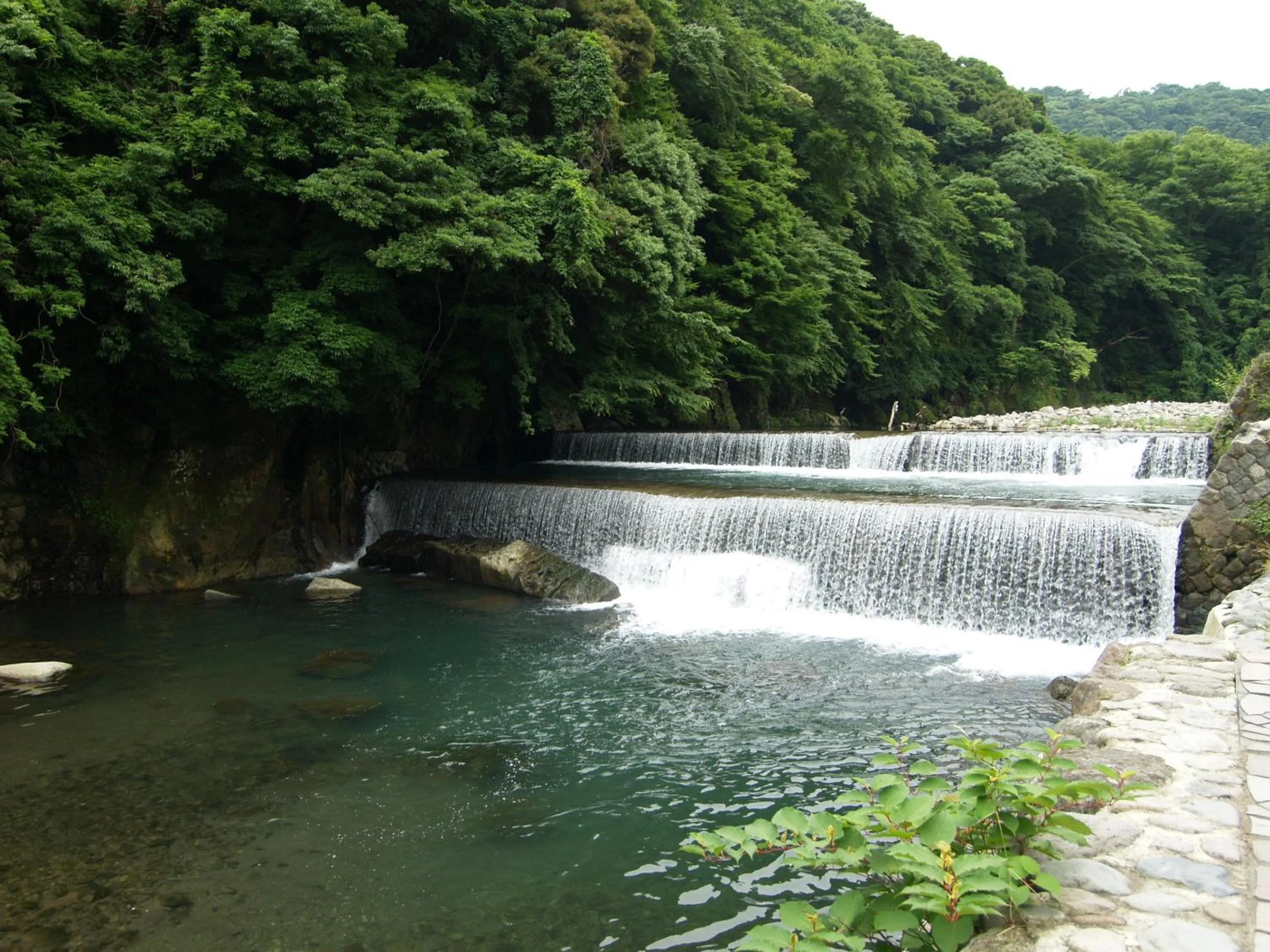 Natural landscape in Hakone Suimeisou