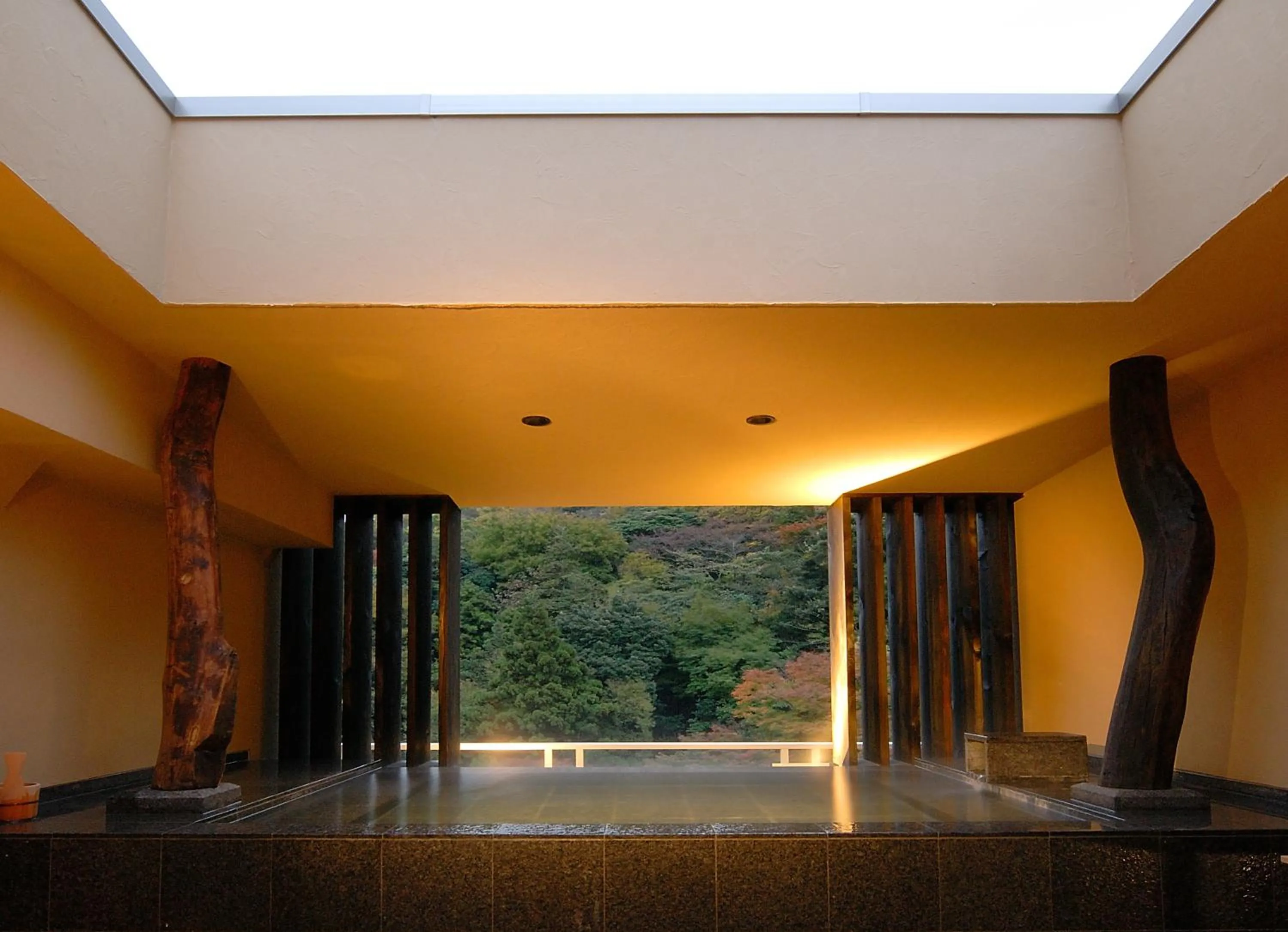 Hot Spring Bath in Hakone Suimeisou