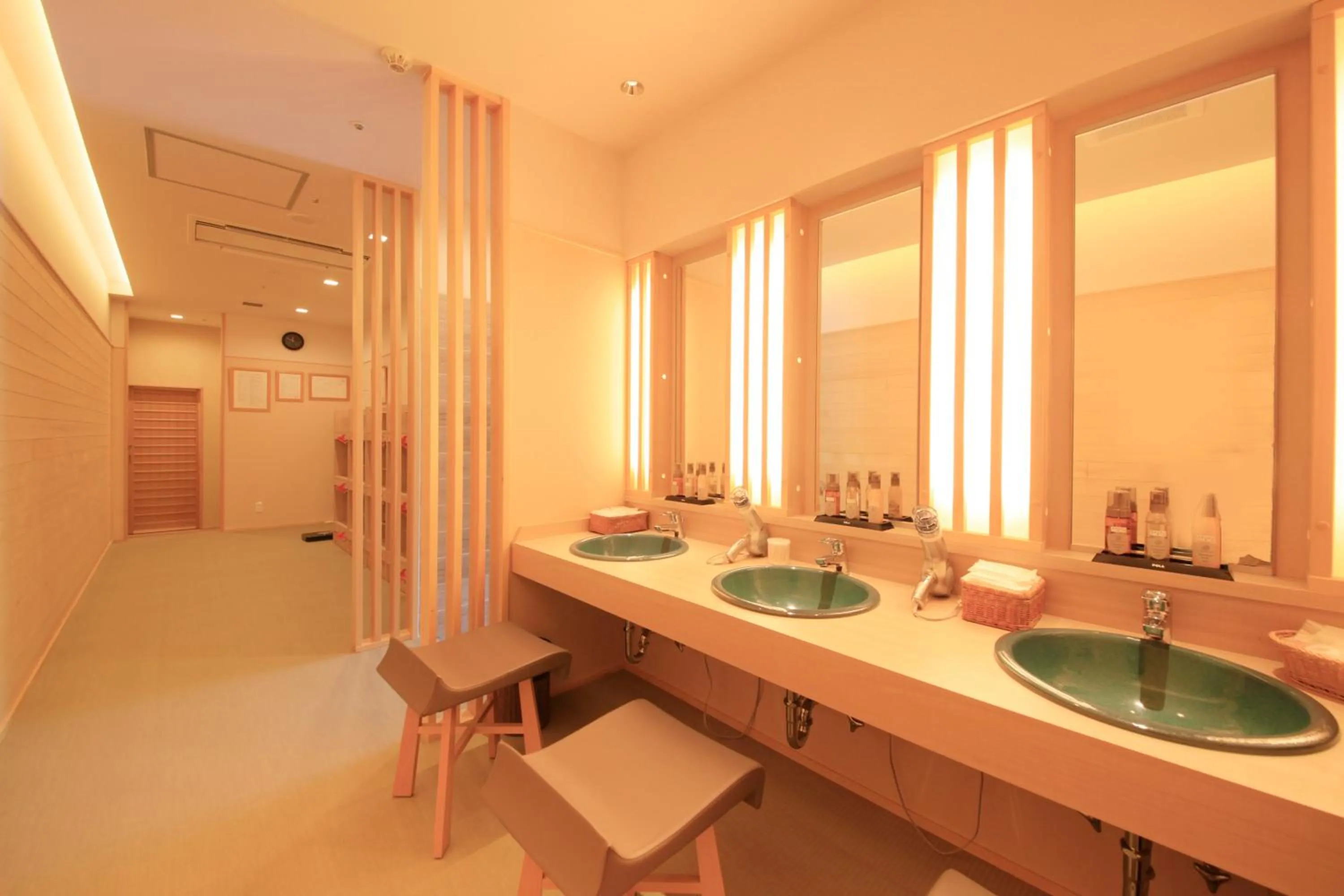 Hot Spring Bath in Hakone Suimeisou