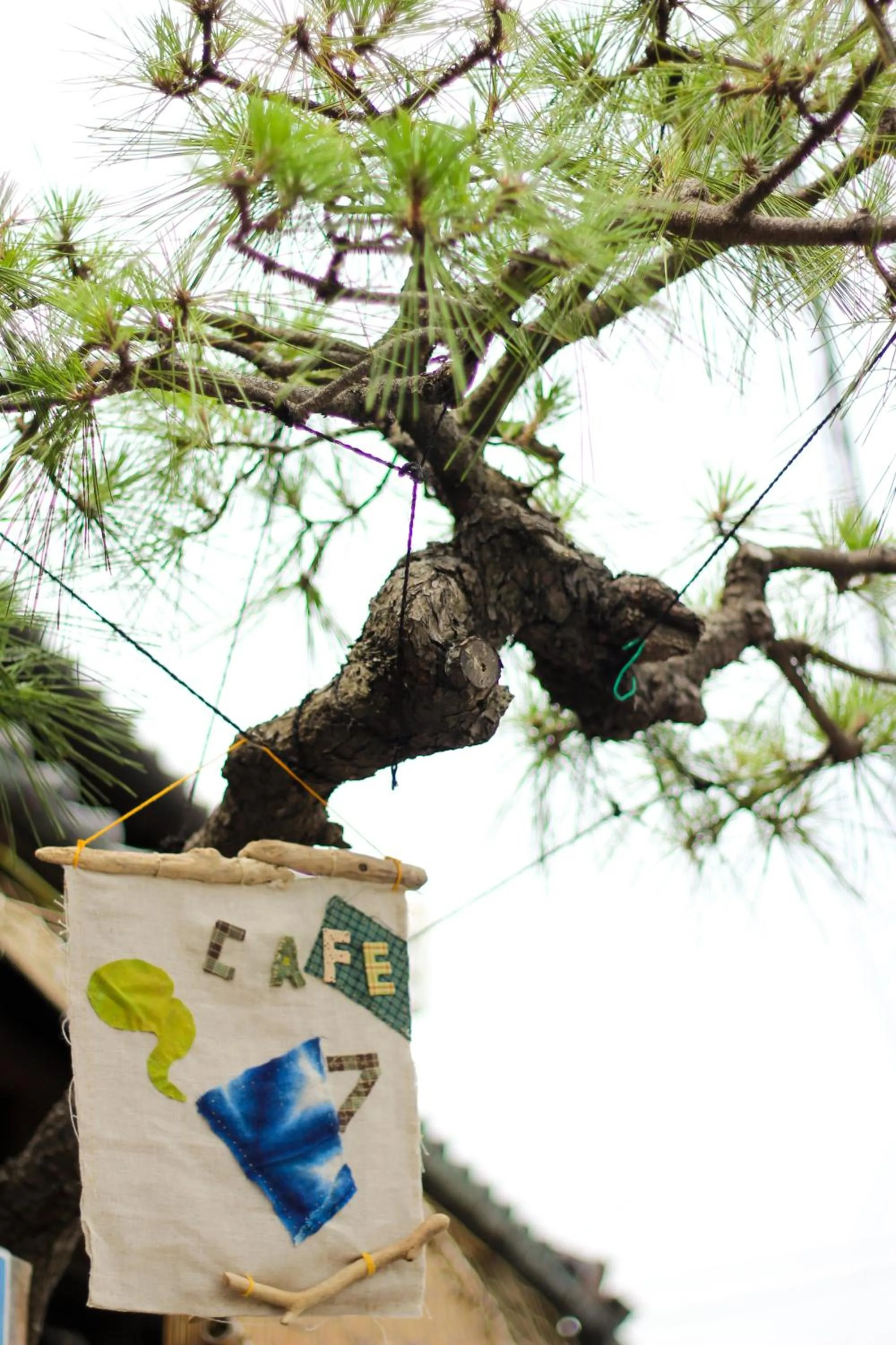 Facade/entrance in Guest House Kamejikan -turtle time-