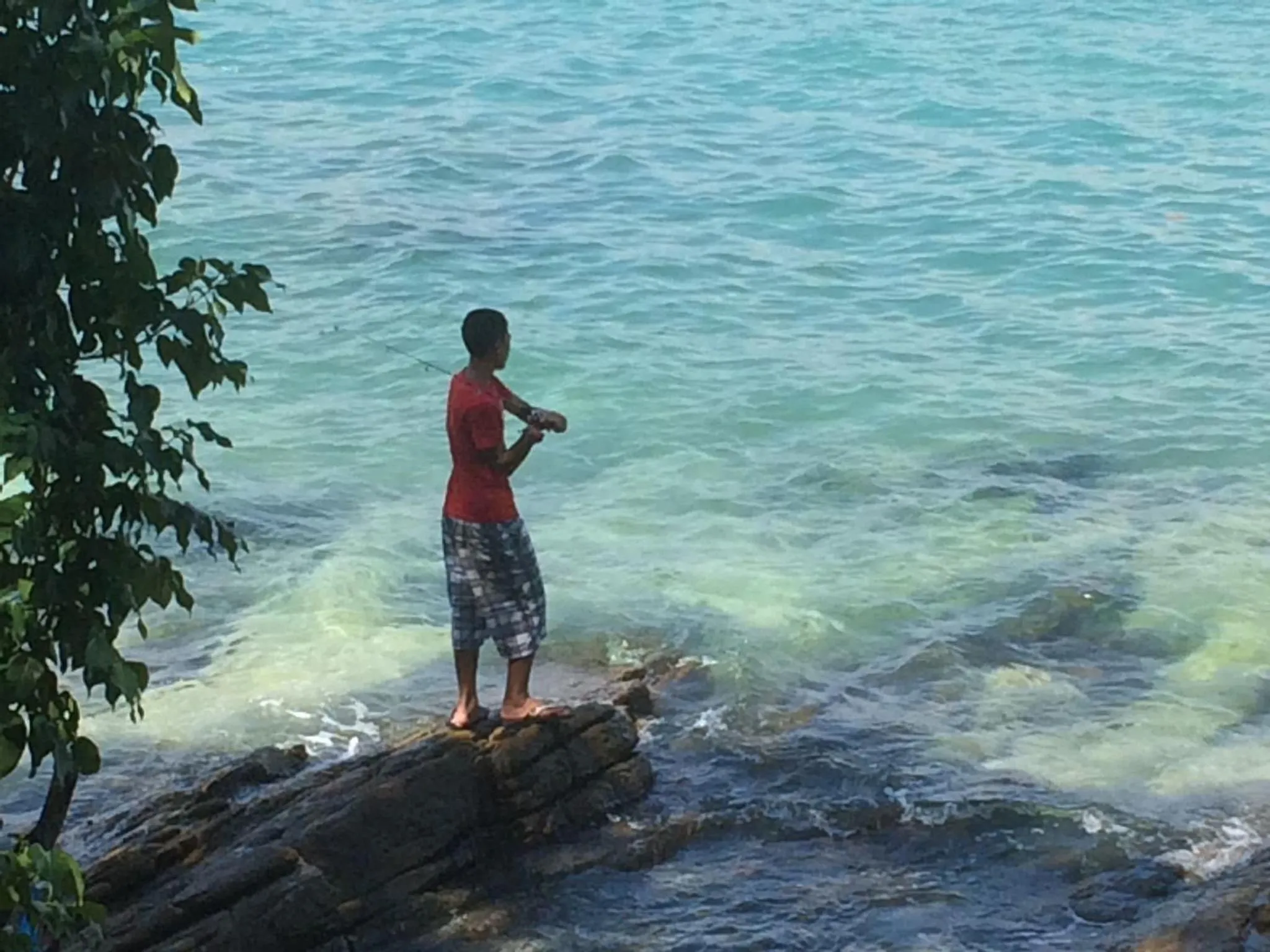 Natural landscape in Sunrise Villas Seaview