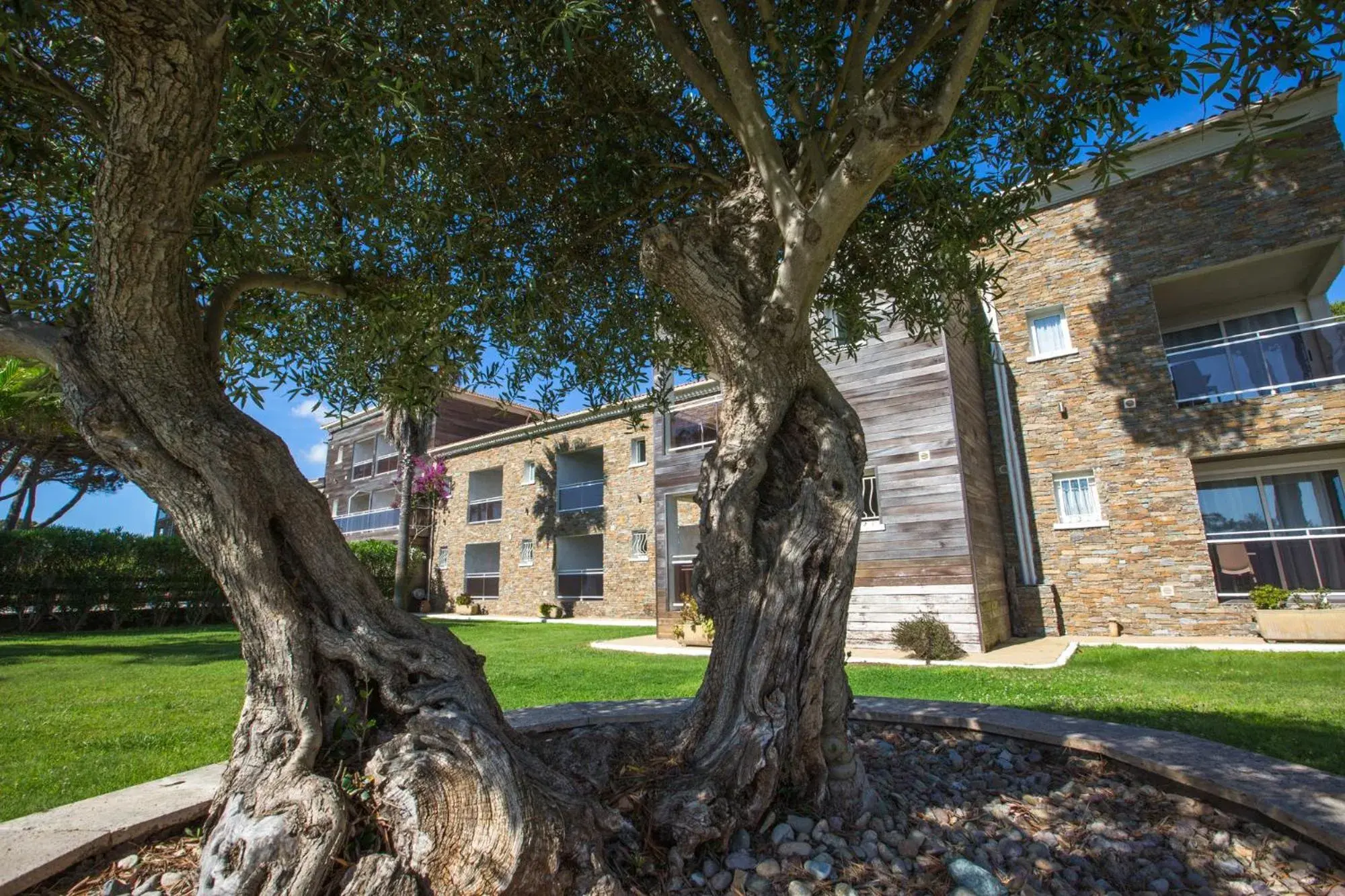 Superior Double or Twin Room with Garden View in Hôtel La Lagune Superior Double or Twin Room with Garden View in Hôtel La Lagune