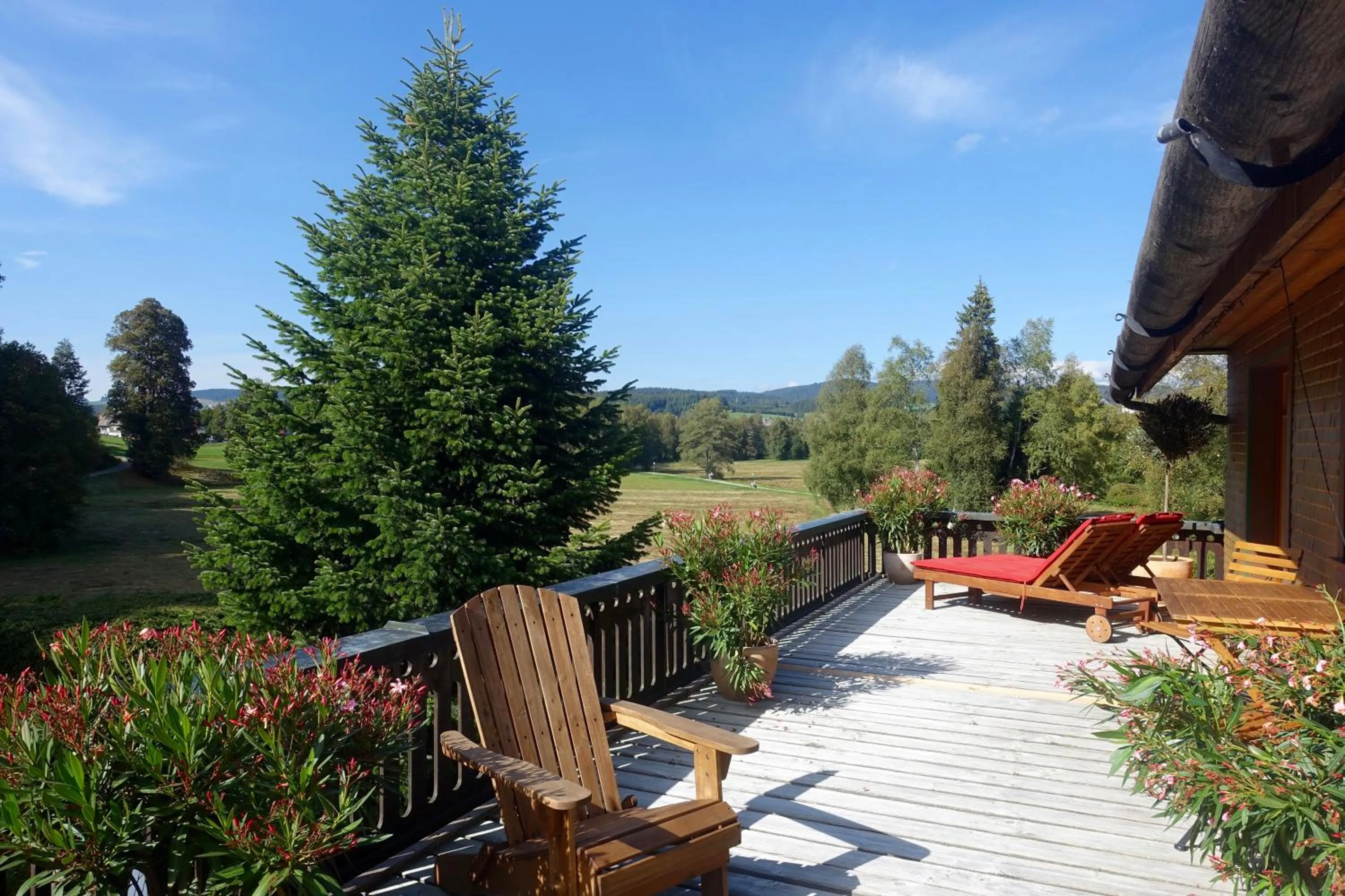 Balcony/Terrace in Hollhouse - Bed & Breakfast