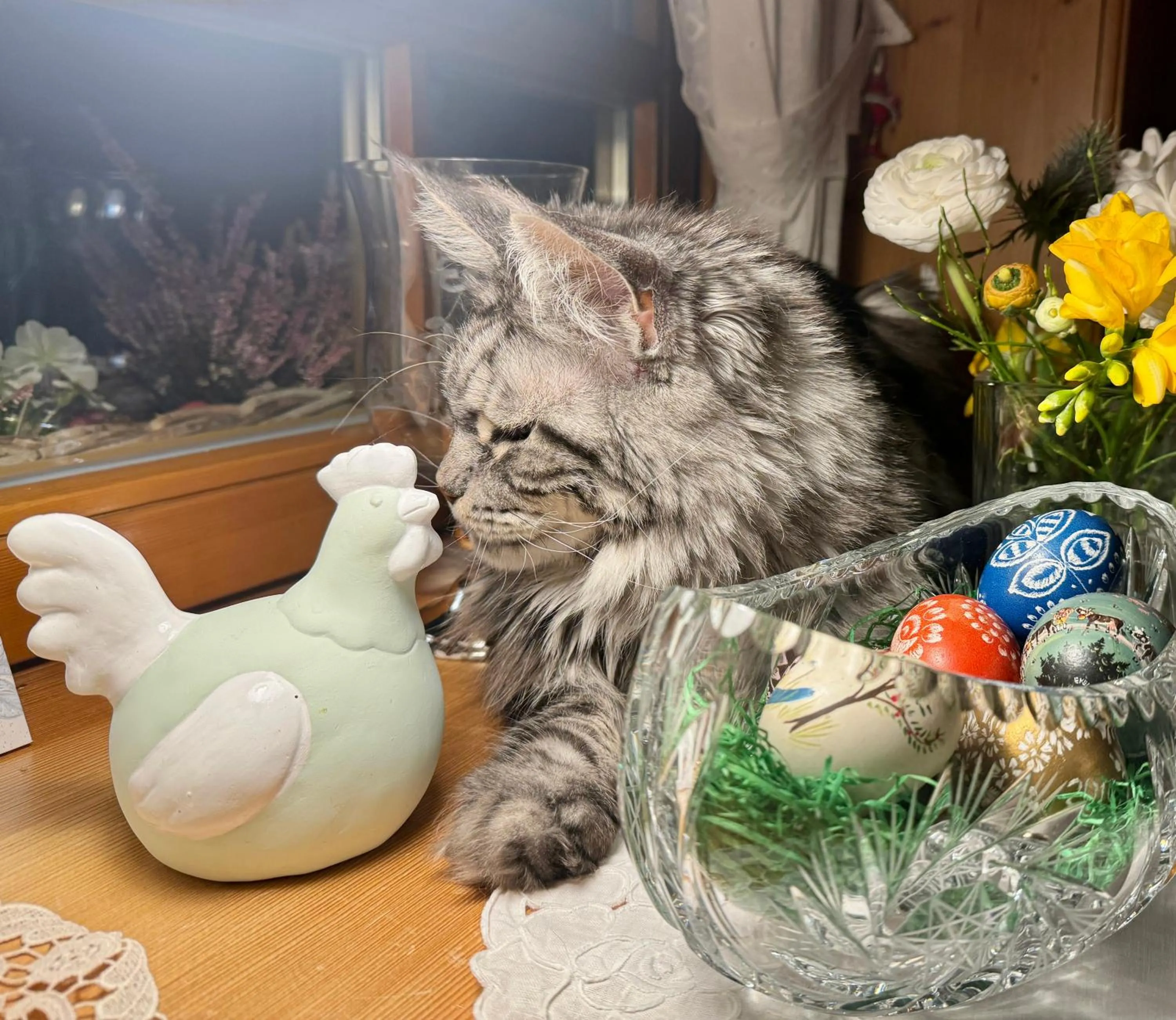 Pets in Hollhouse - Bed & Breakfast