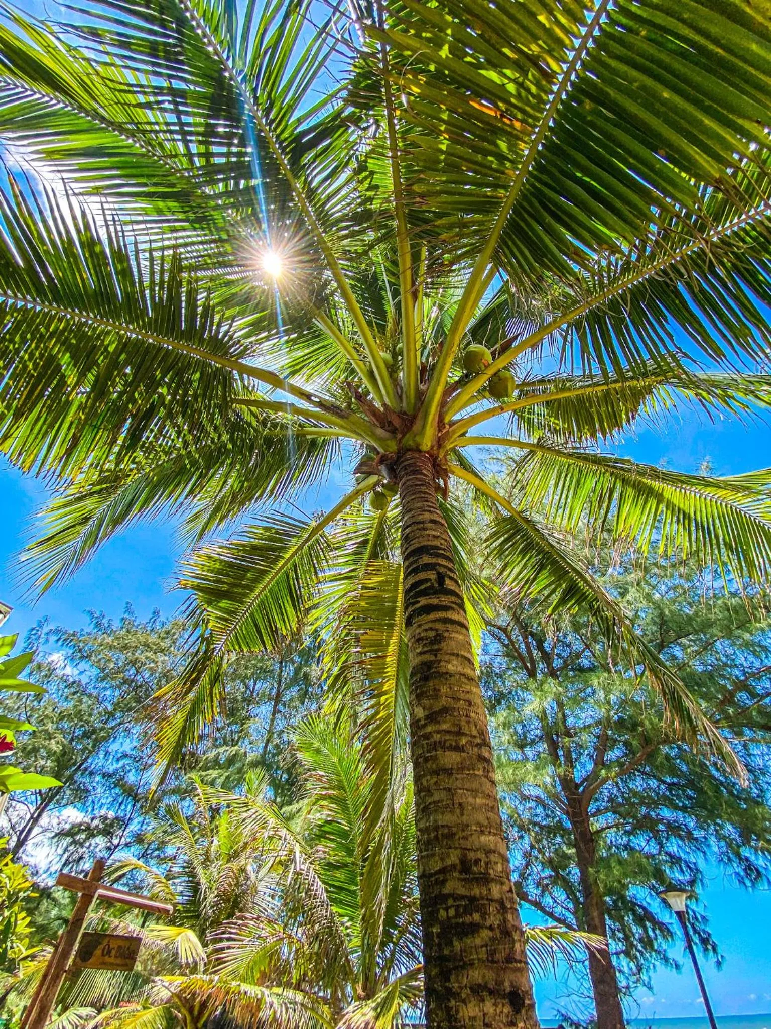 Long Hải Channel Beach Resort