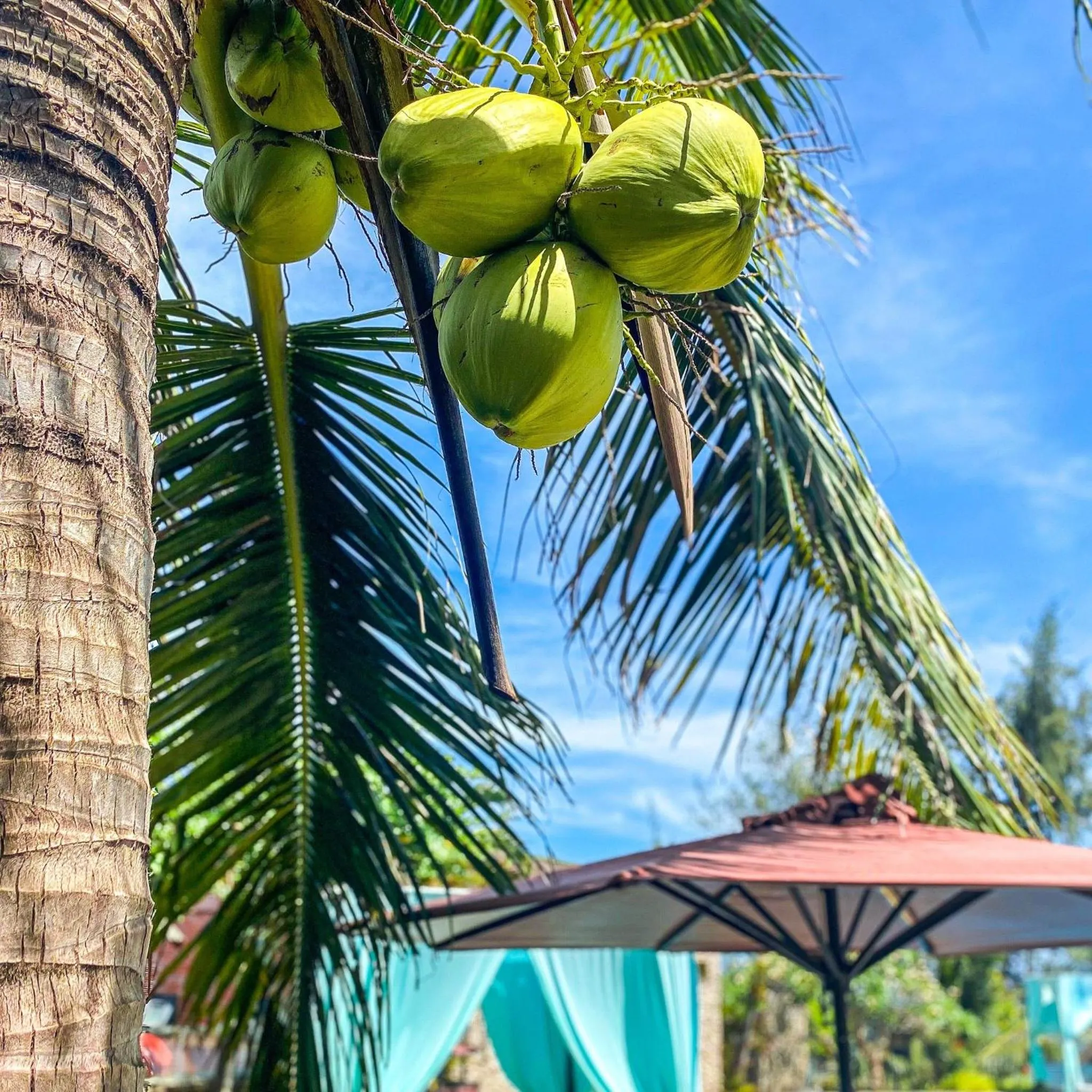 Long Hải Channel Beach Resort