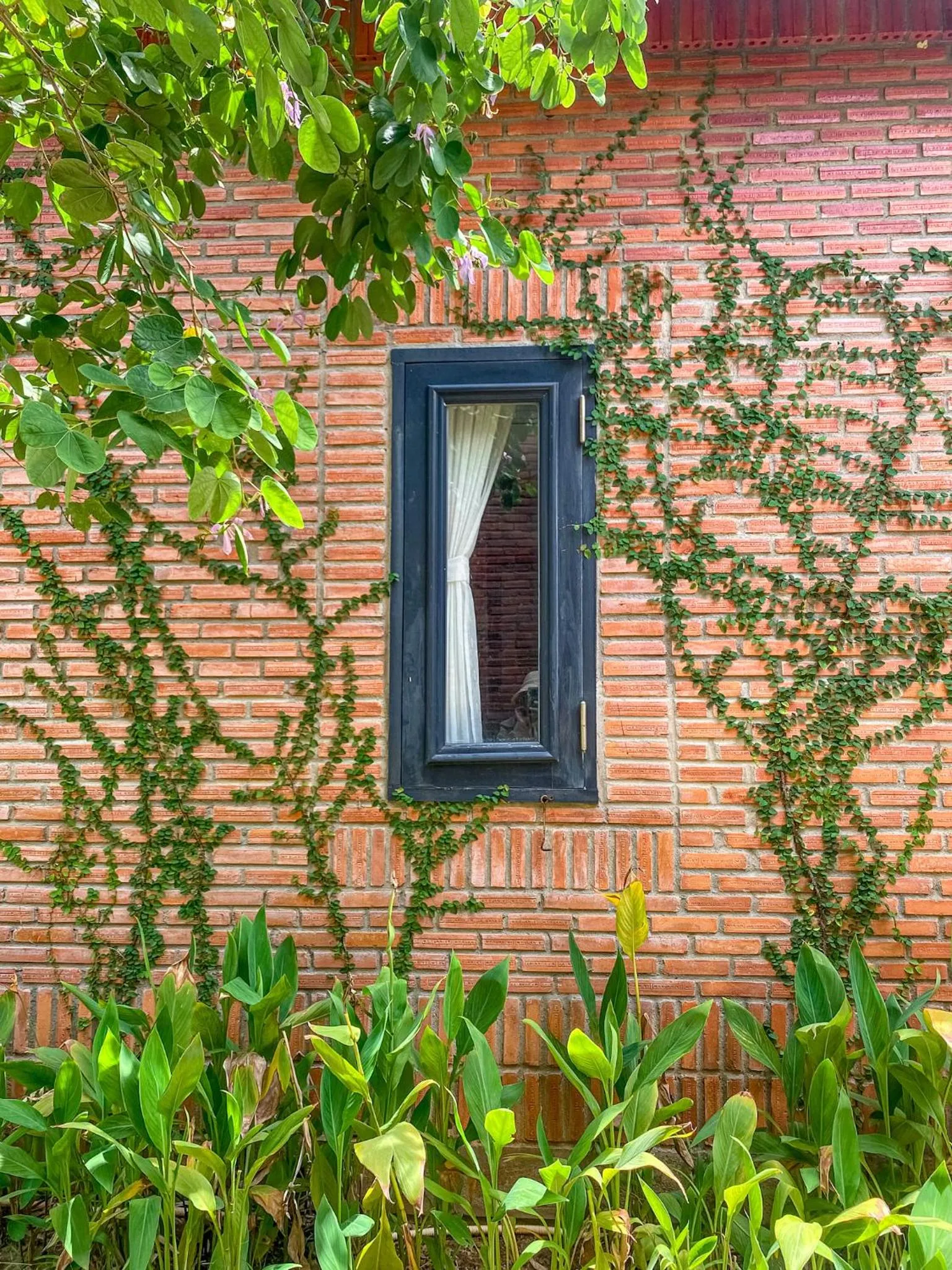 Long Hải Channel Beach Resort