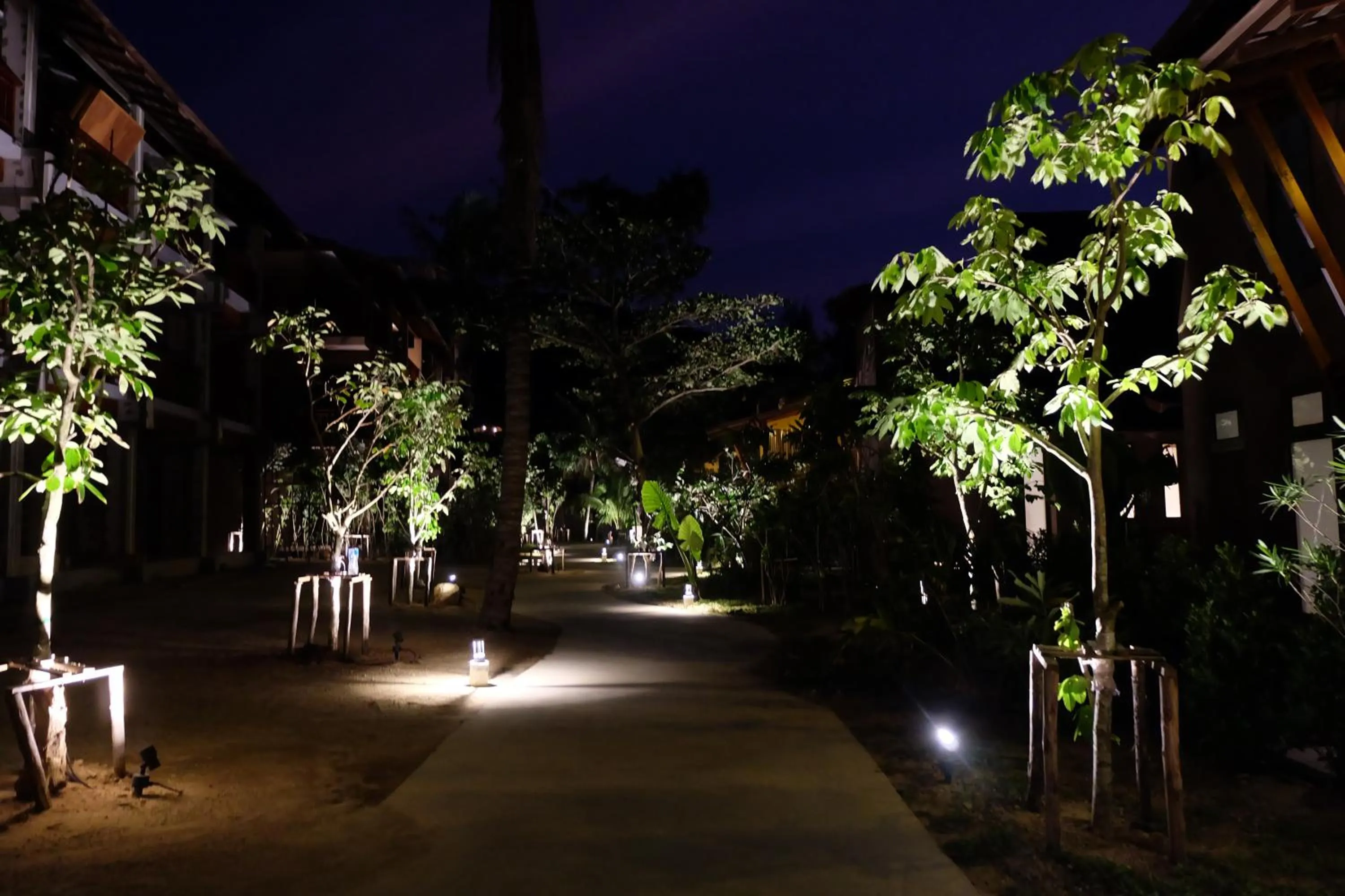 Night in Koh Ma Beach Resort - SHA Extra Plus