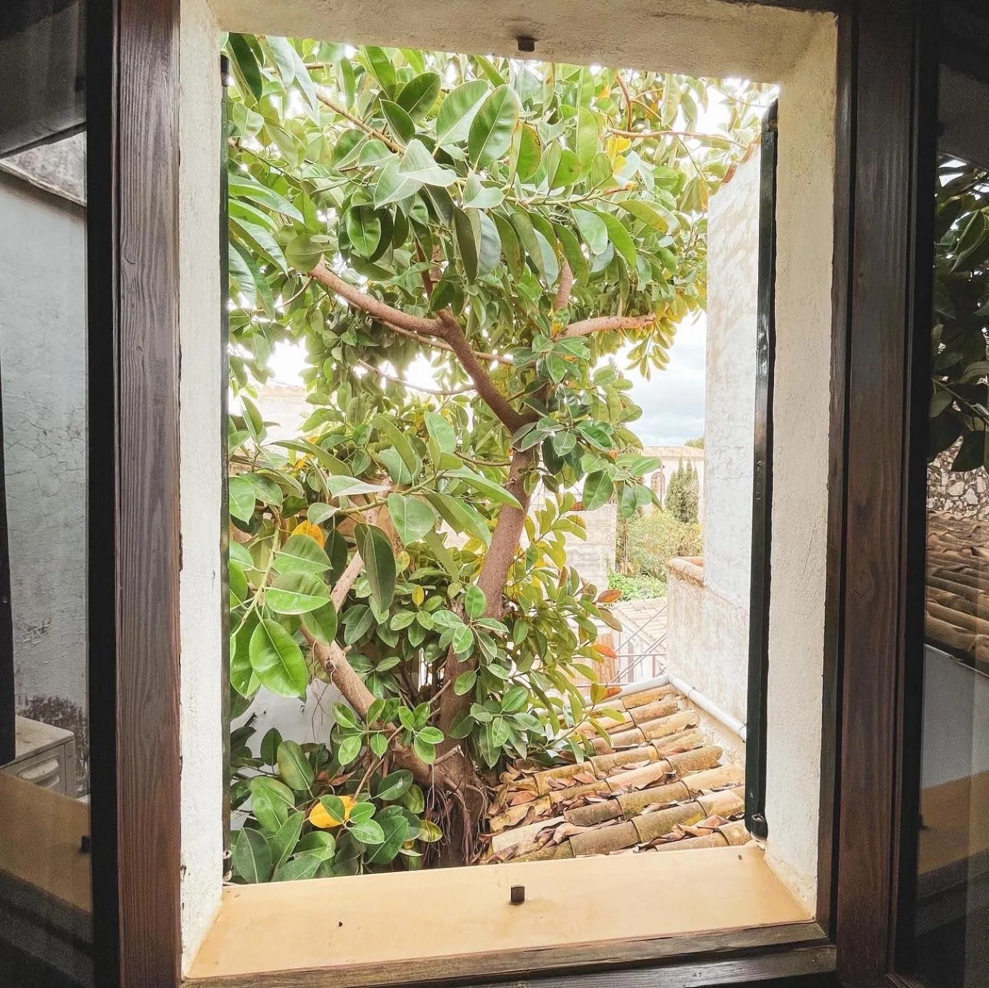 View (from property/room) in El Nido de Alaro - Turismo de Interior