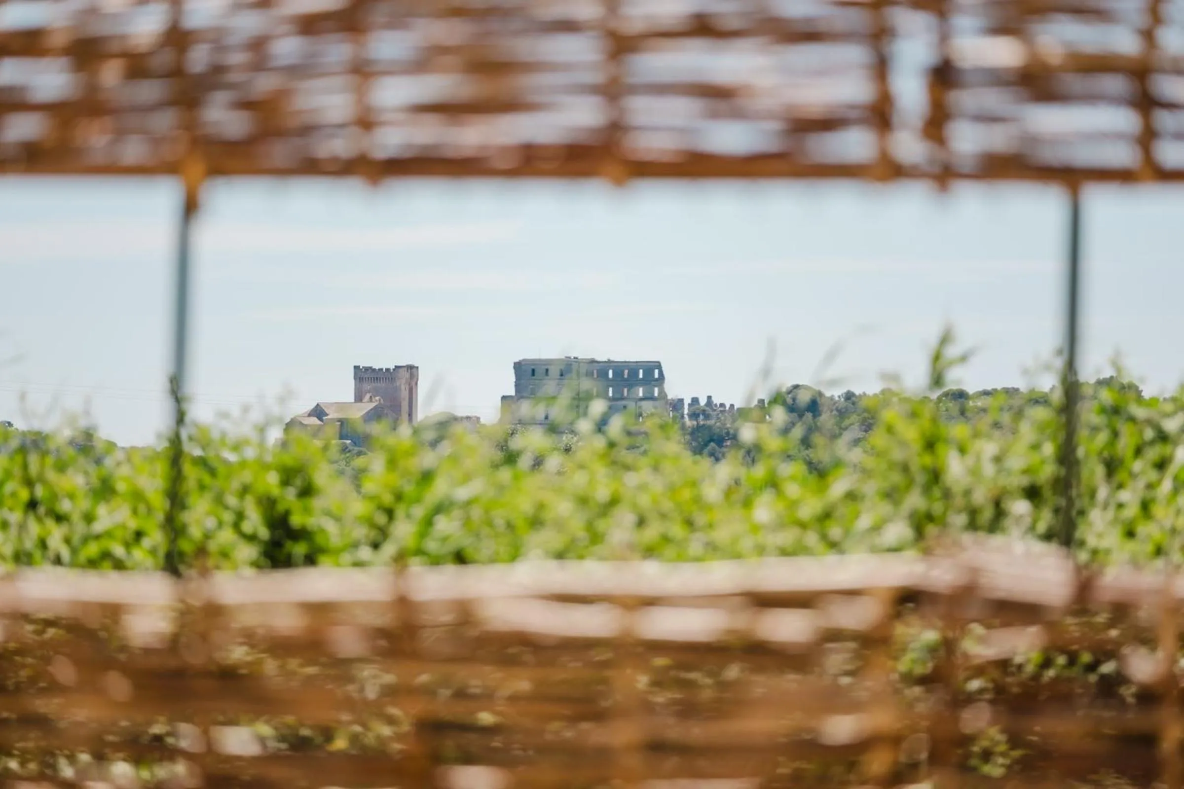 View (from property/room) in Logis Hotel des Granges