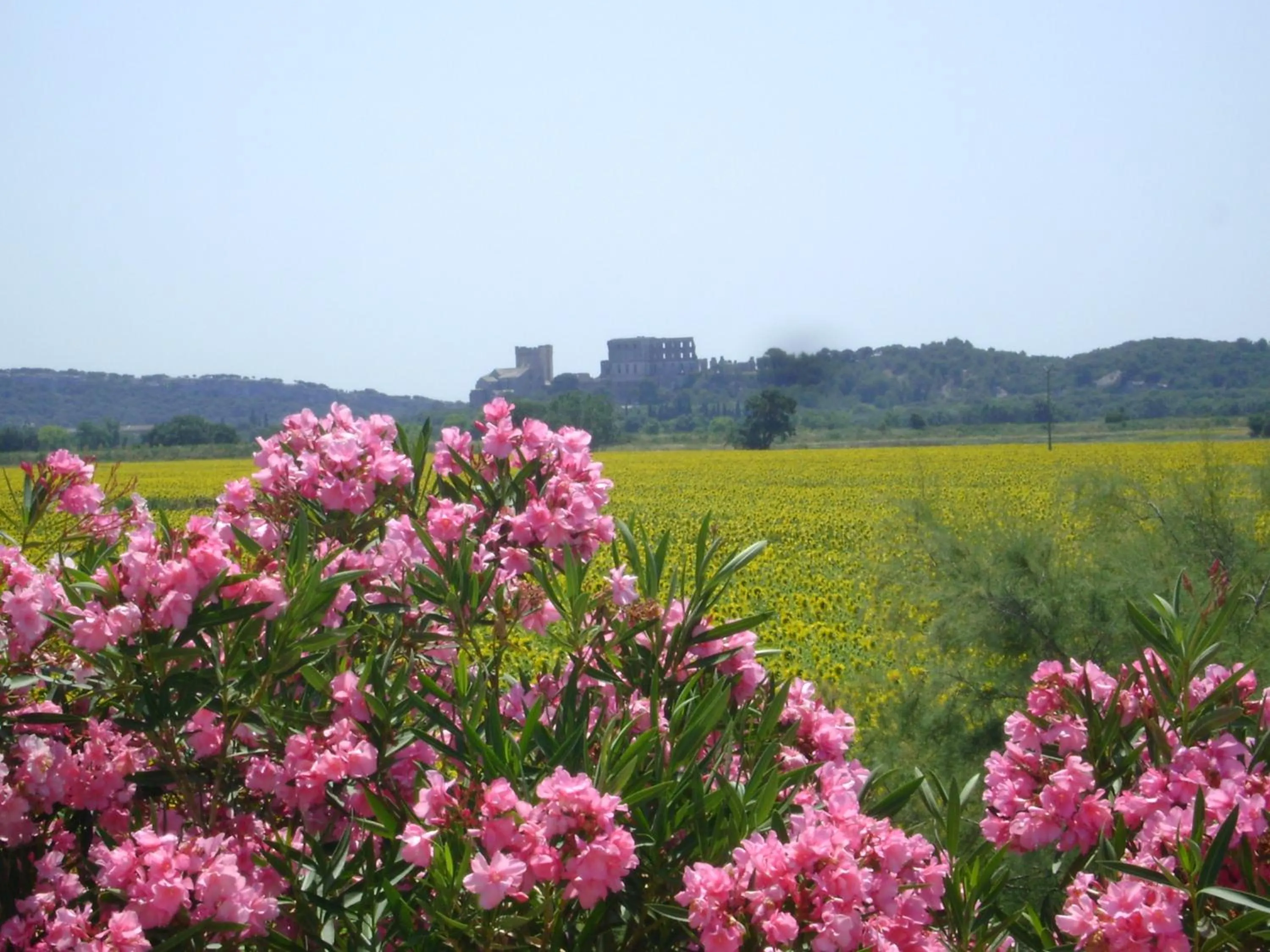 Nearby landmark in Logis Hotel des Granges